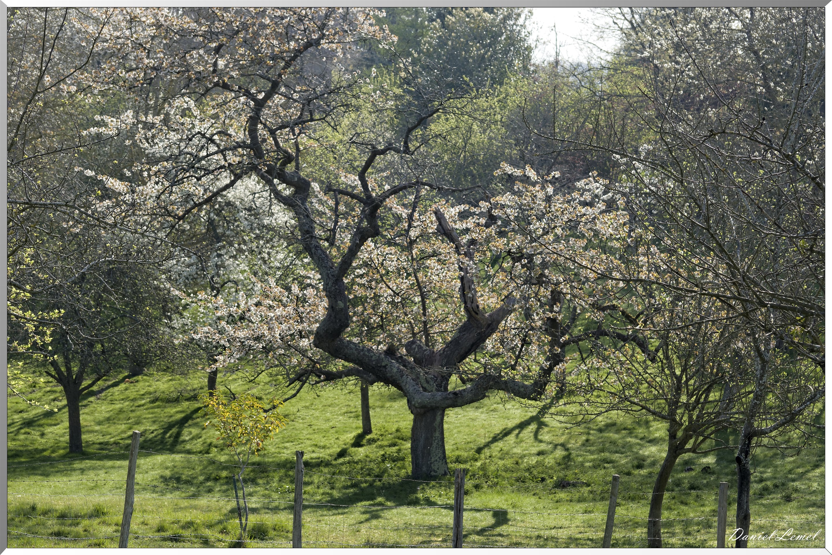 Saint-Pierre-de-Bailleul