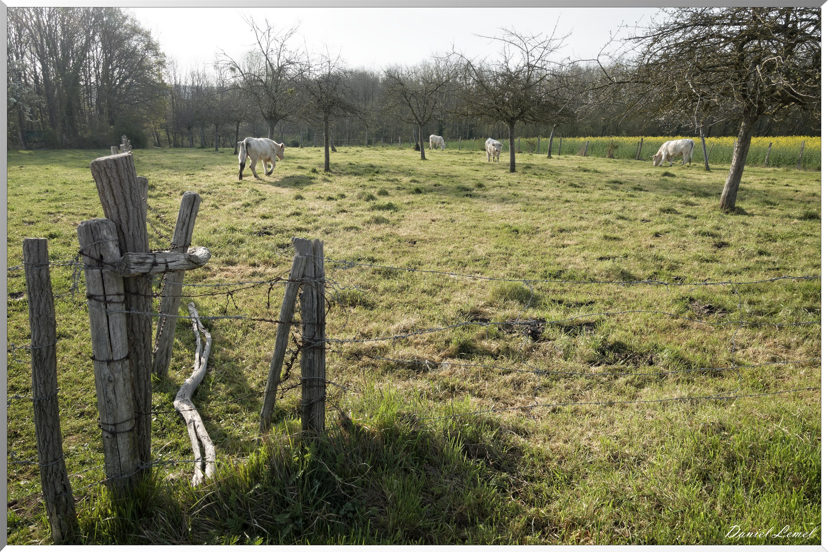 Saint-Pierre-de-Bailleul