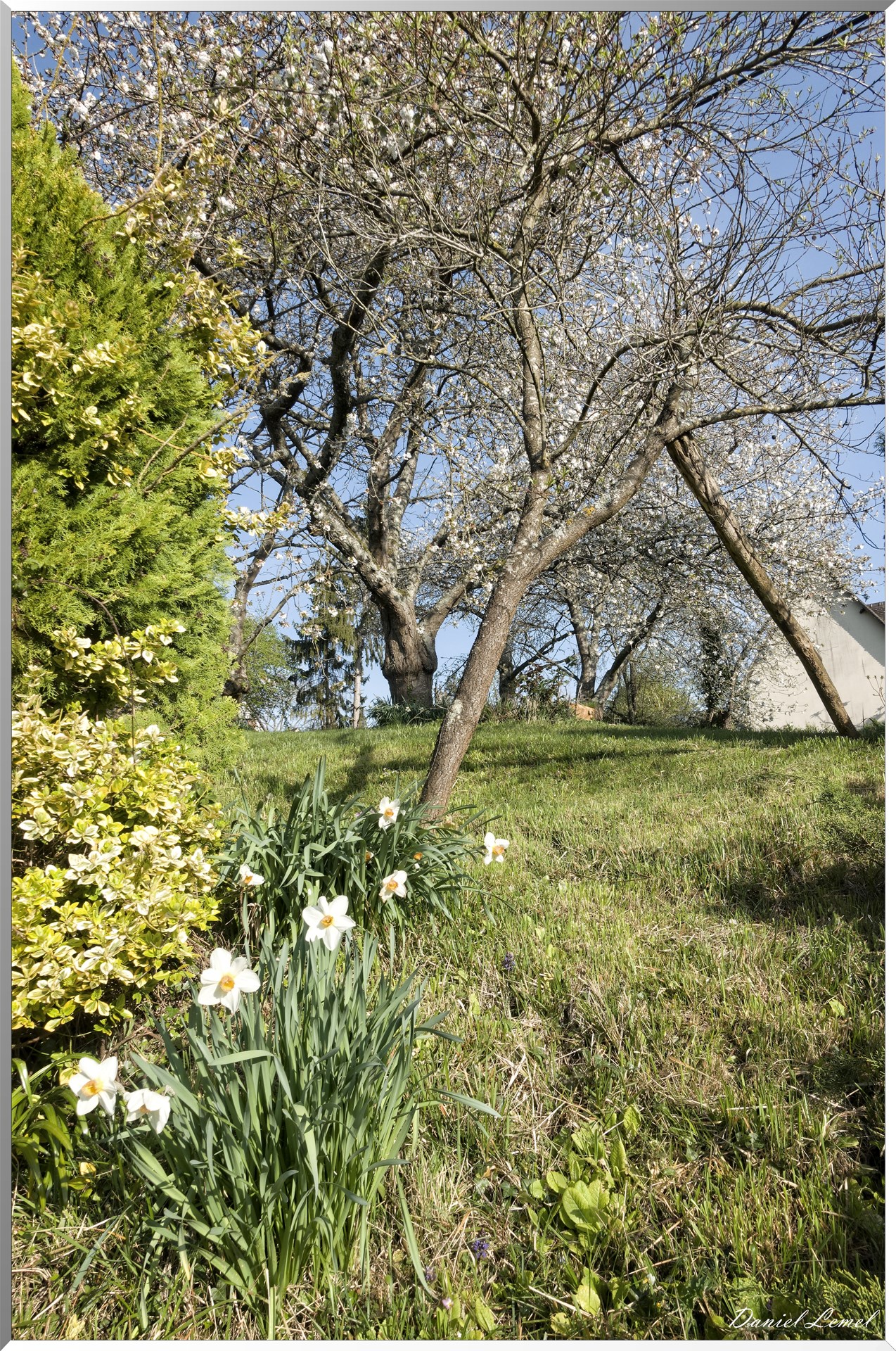 Saint-Pierre-de-Bailleul