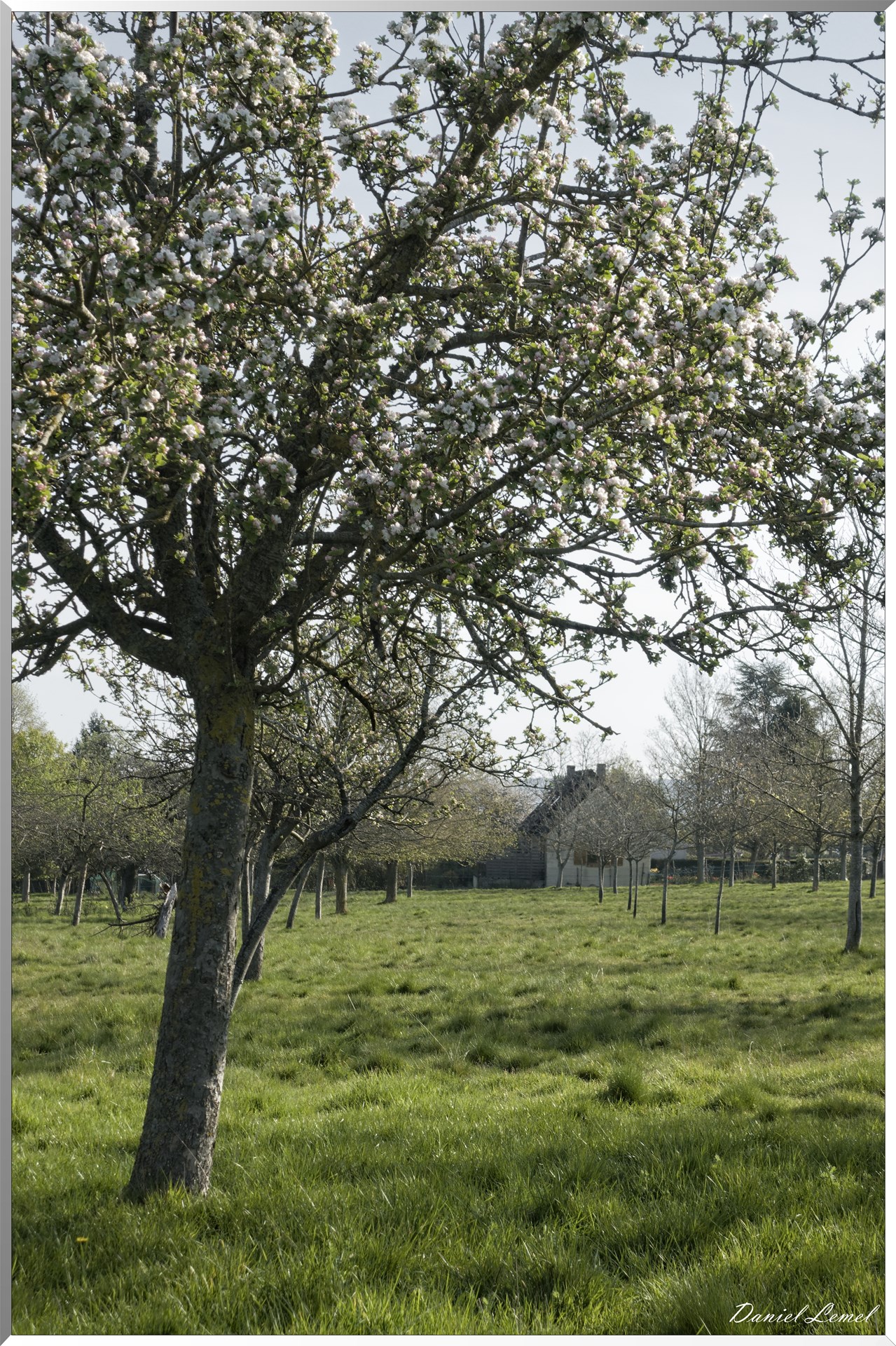 Saint-Pierre-de-Bailleul