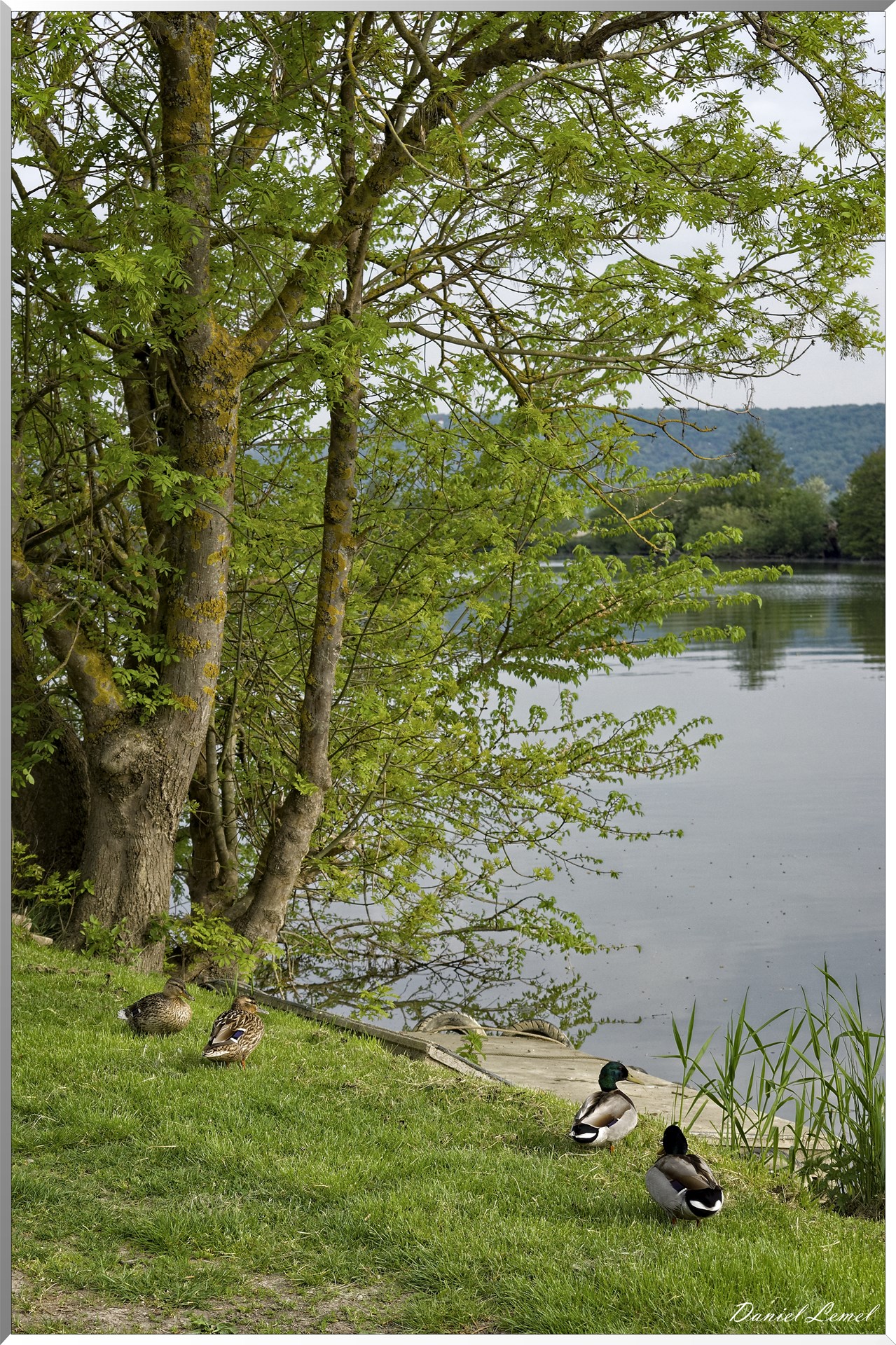 Saint-Pierre-de-Bailleul