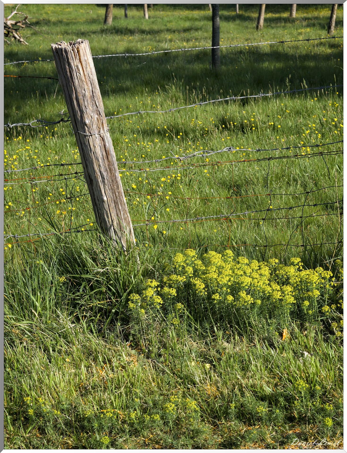 Saint-Pierre-de-Bailleul
