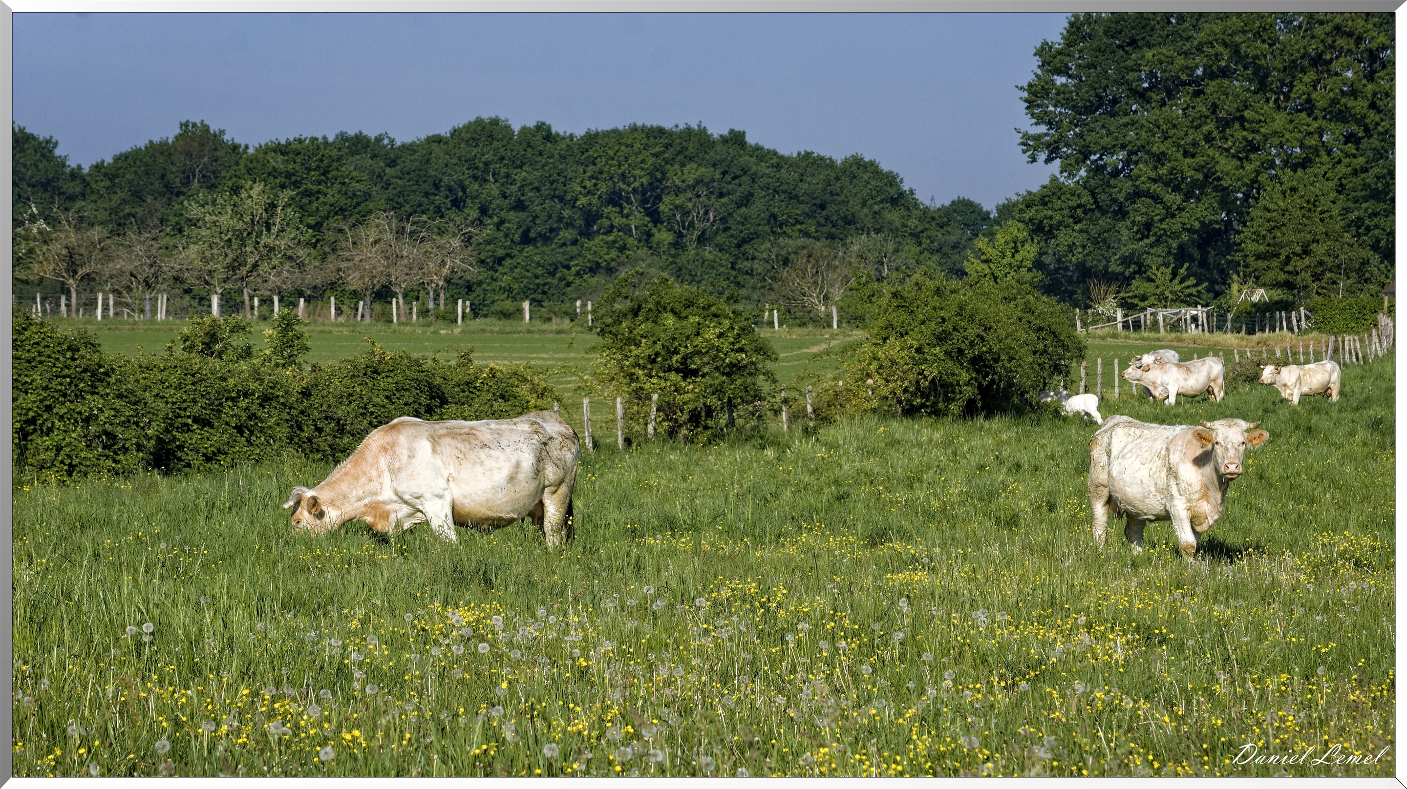 Saint-Pierre-de-Bailleul