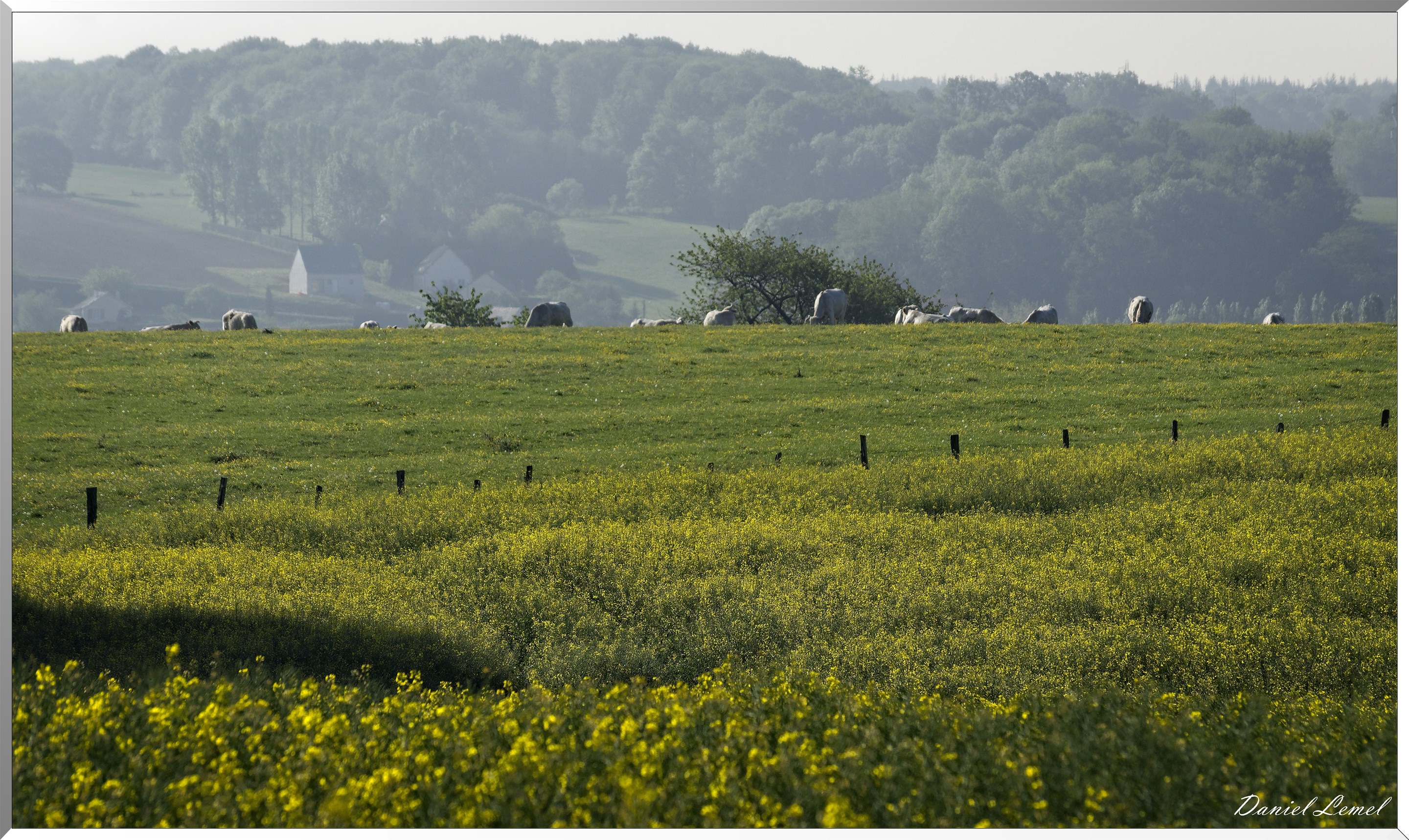 Saint-Pierre-de-Bailleul