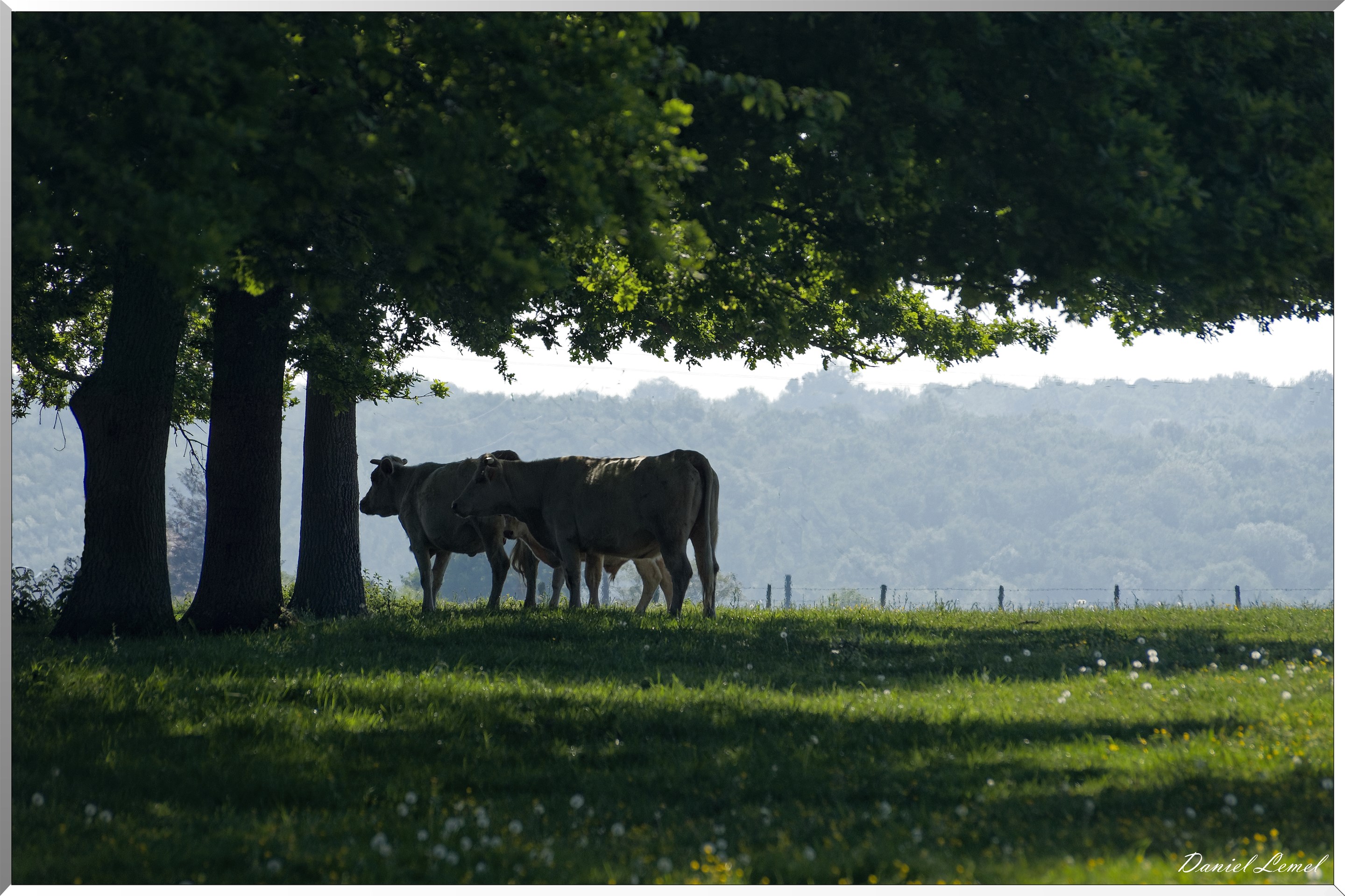 Saint-Pierre-de-Bailleul
