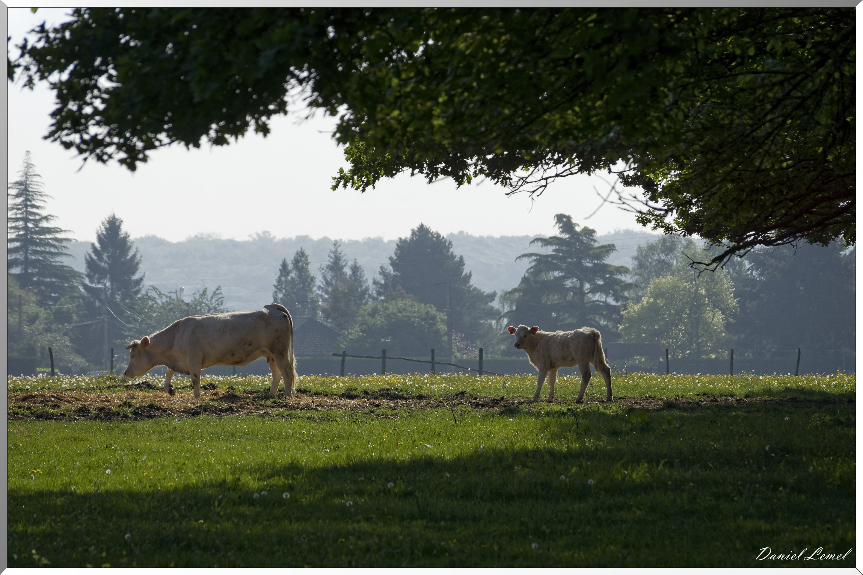 Saint-Pierre-de-Bailleul