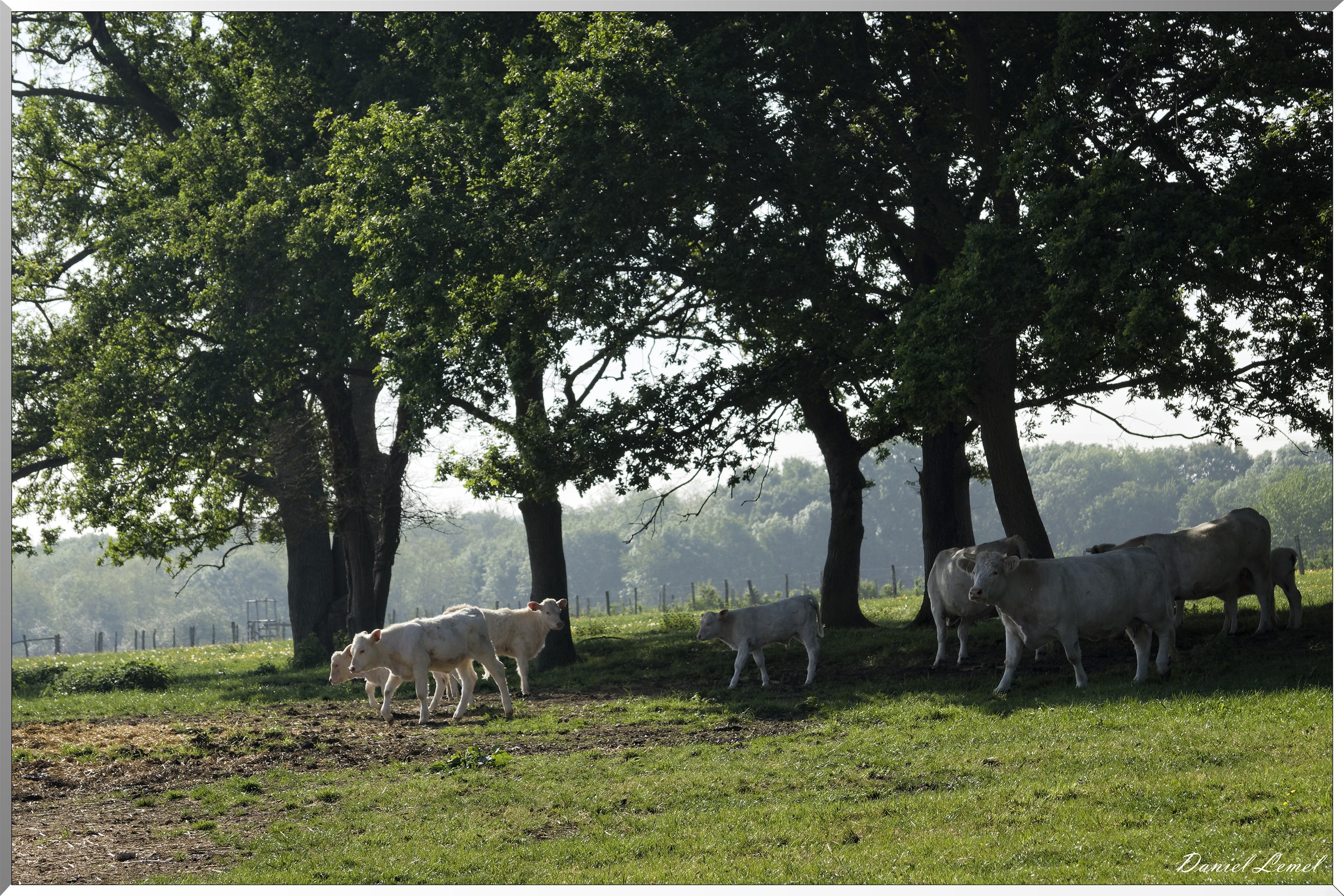 Saint-Pierre-de-Bailleul