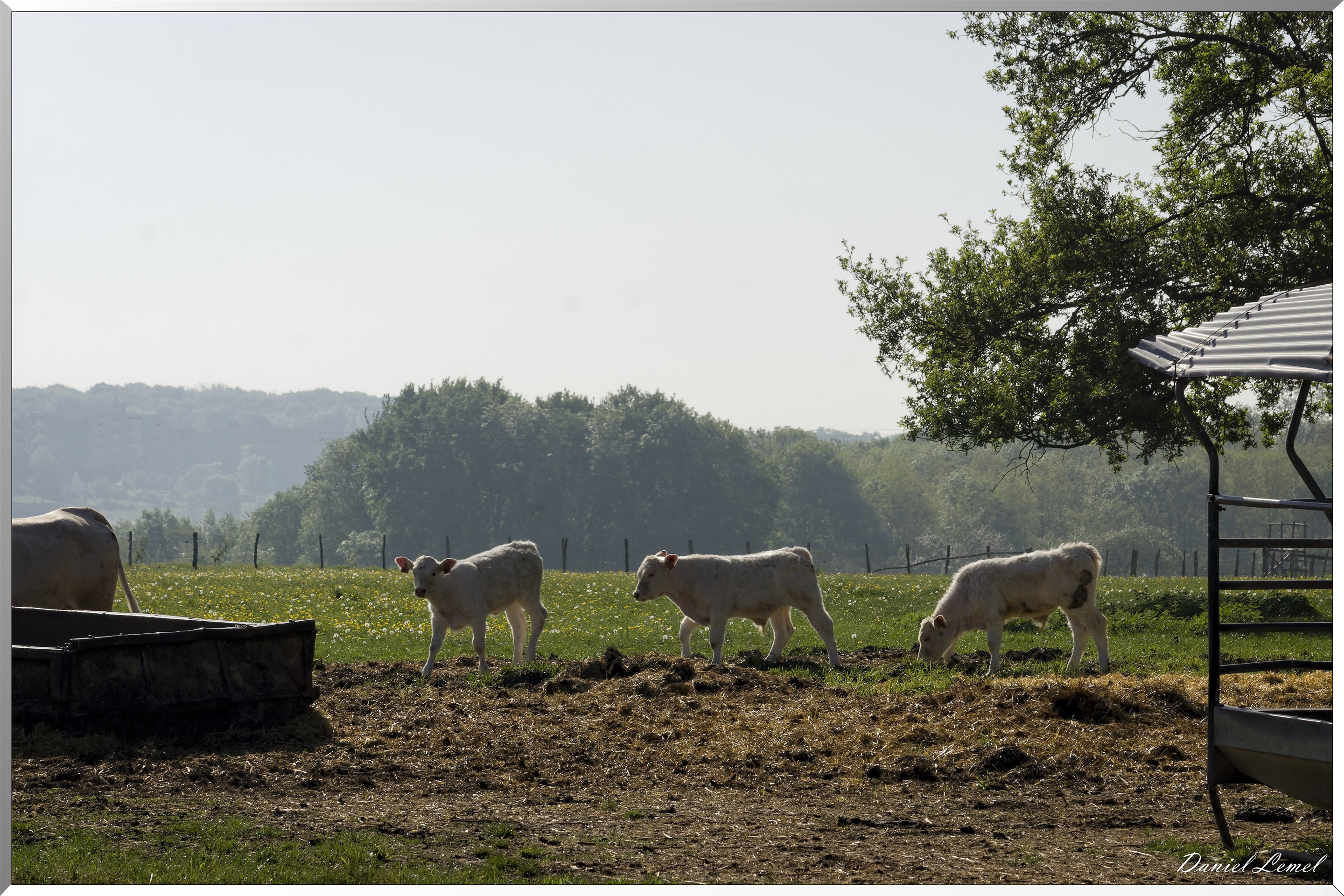 Saint-Pierre-de-Bailleul