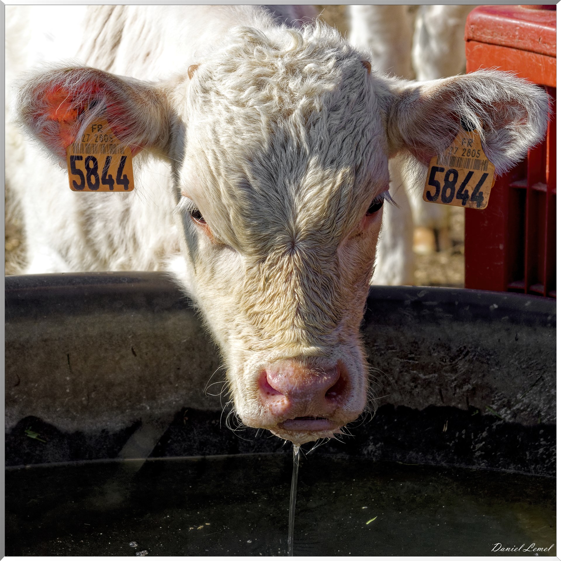 Saint-Pierre-de-Bailleul