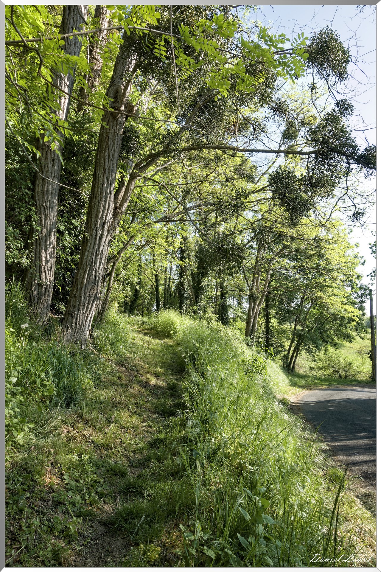 Saint-Pierre-de-Bailleul