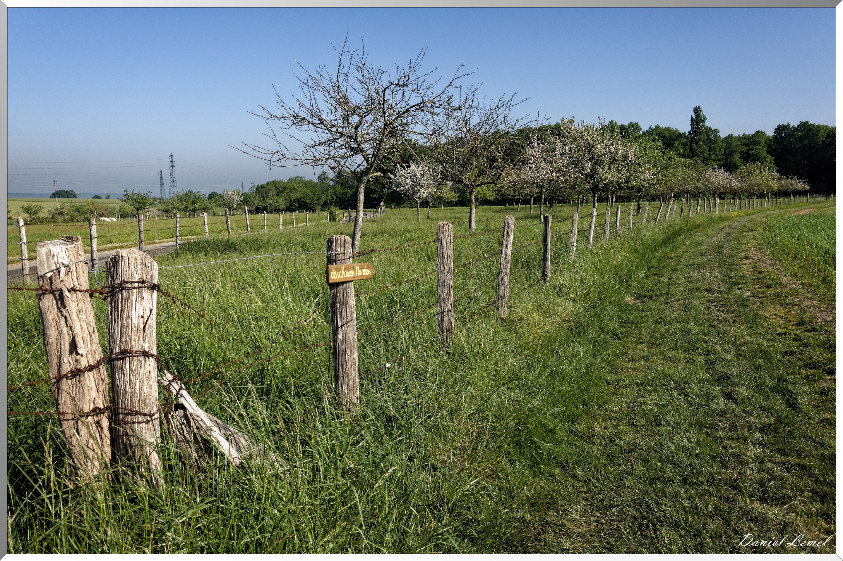 Saint-Pierre-de-Bailleul