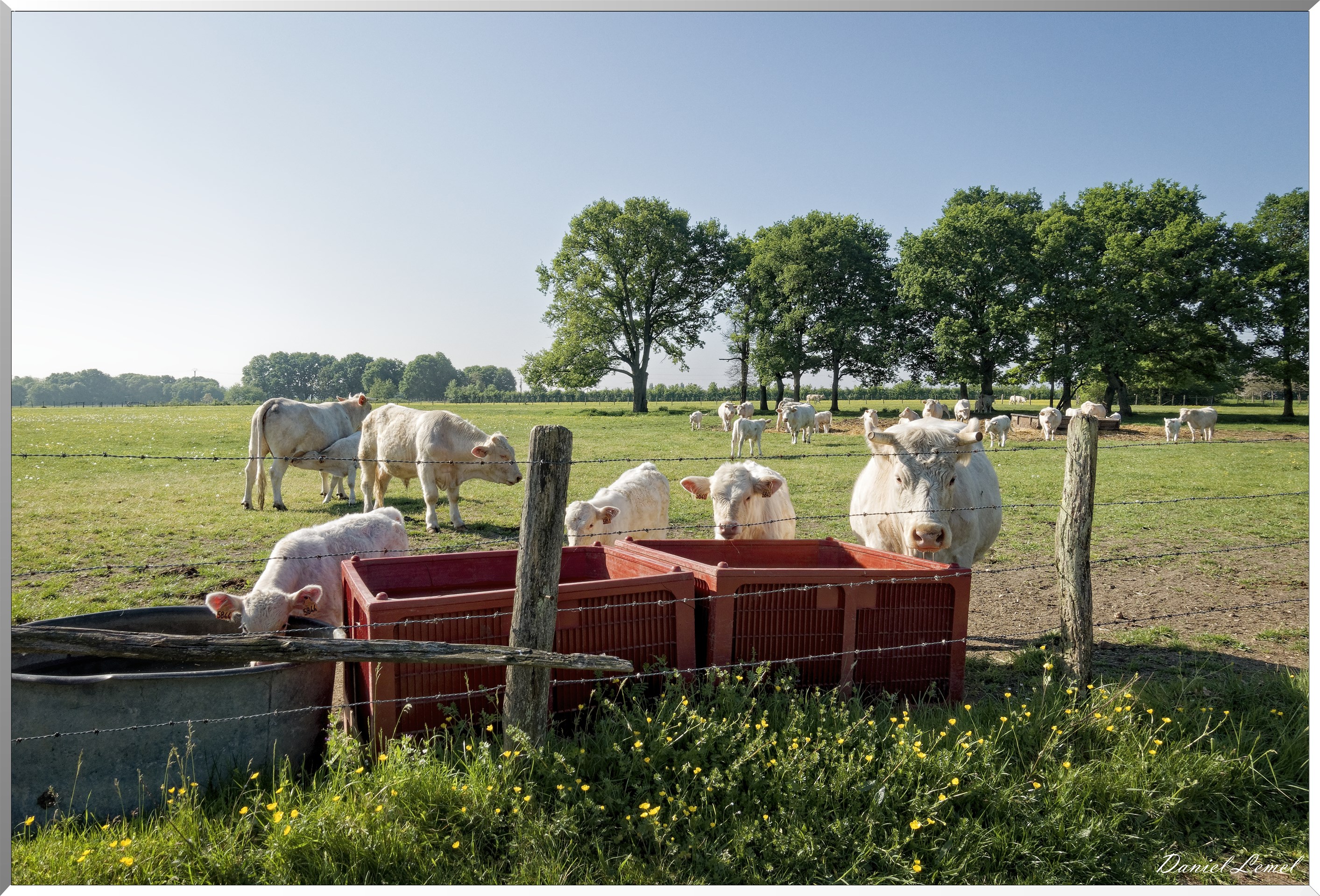Saint-Pierre-de-Bailleul