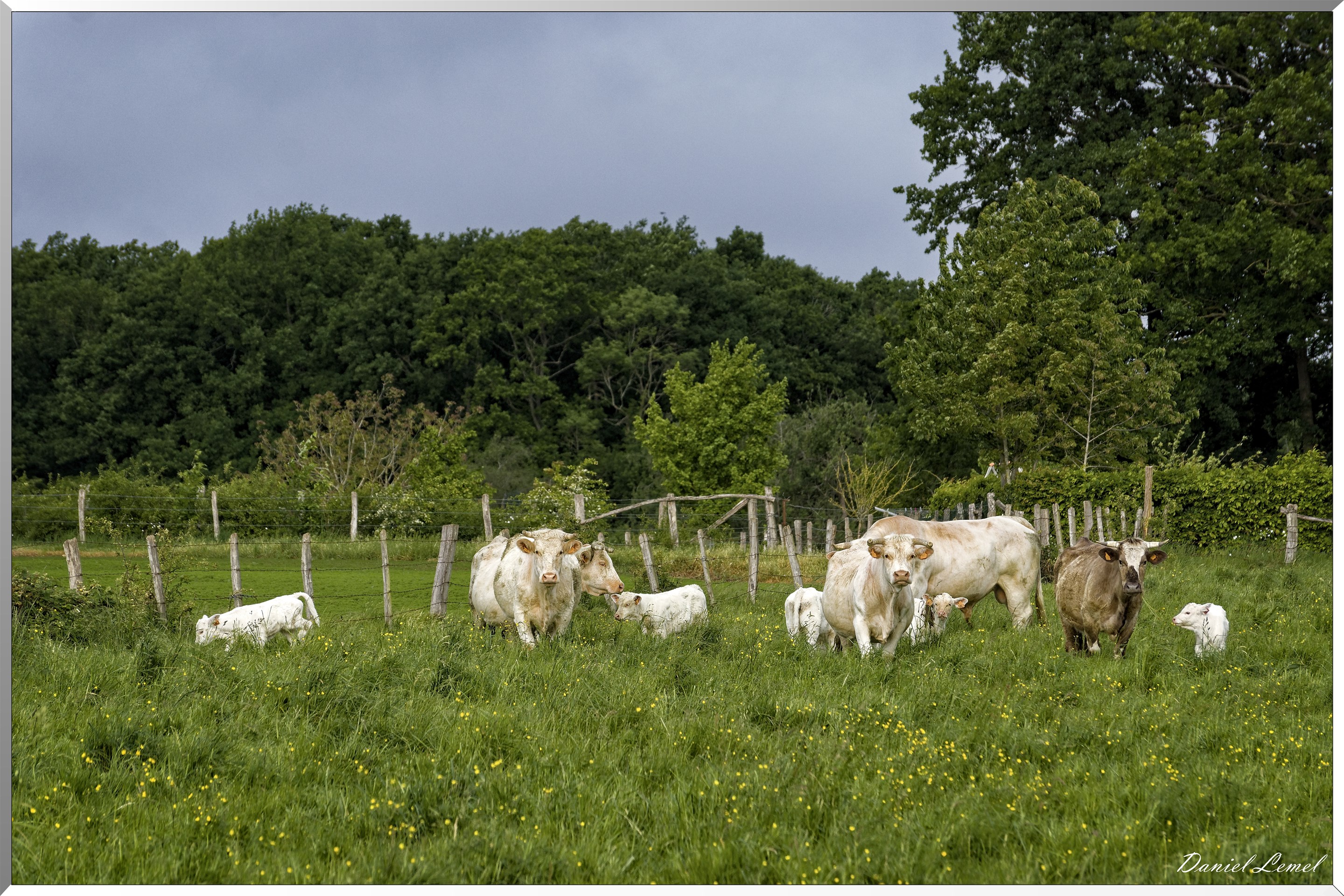 Saint-Pierre-de-Bailleul