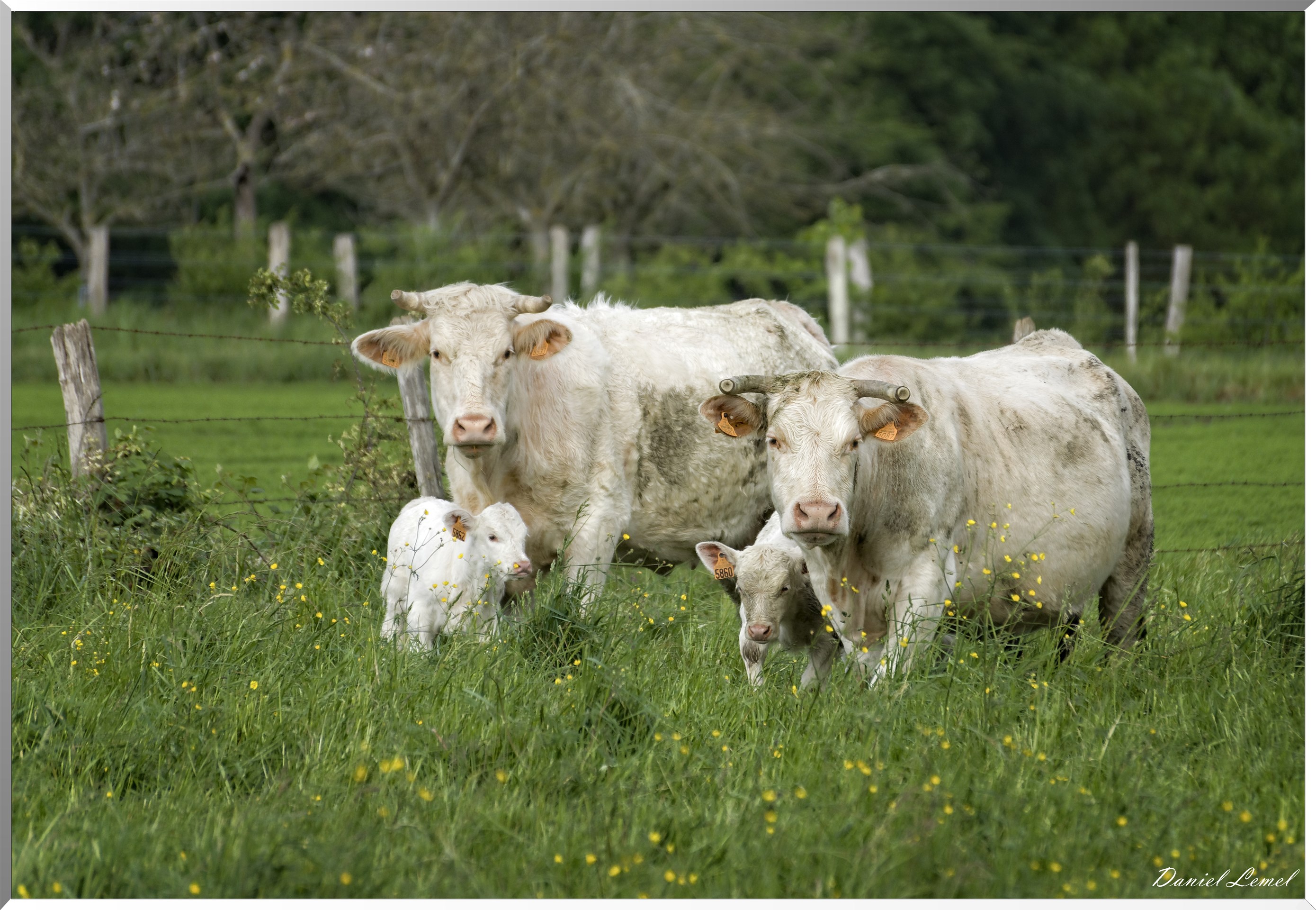 Saint-Pierre-de-Bailleul