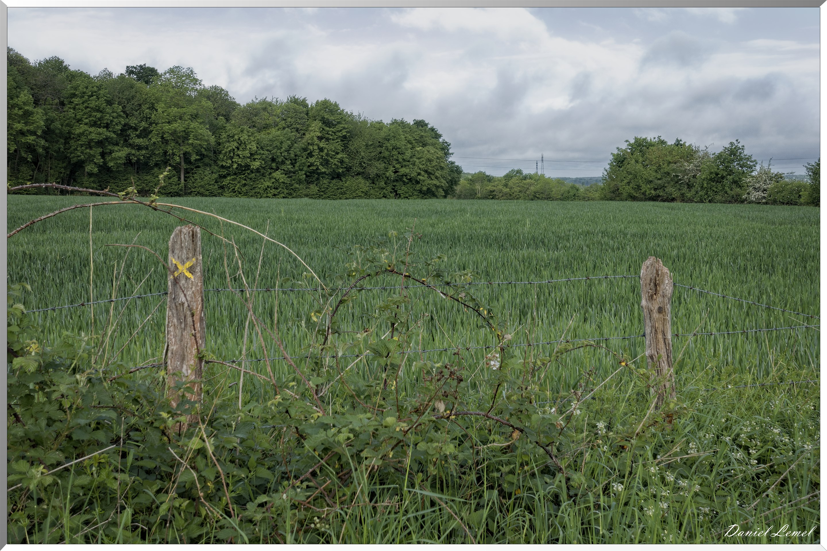 Saint-Pierre-de-Bailleul