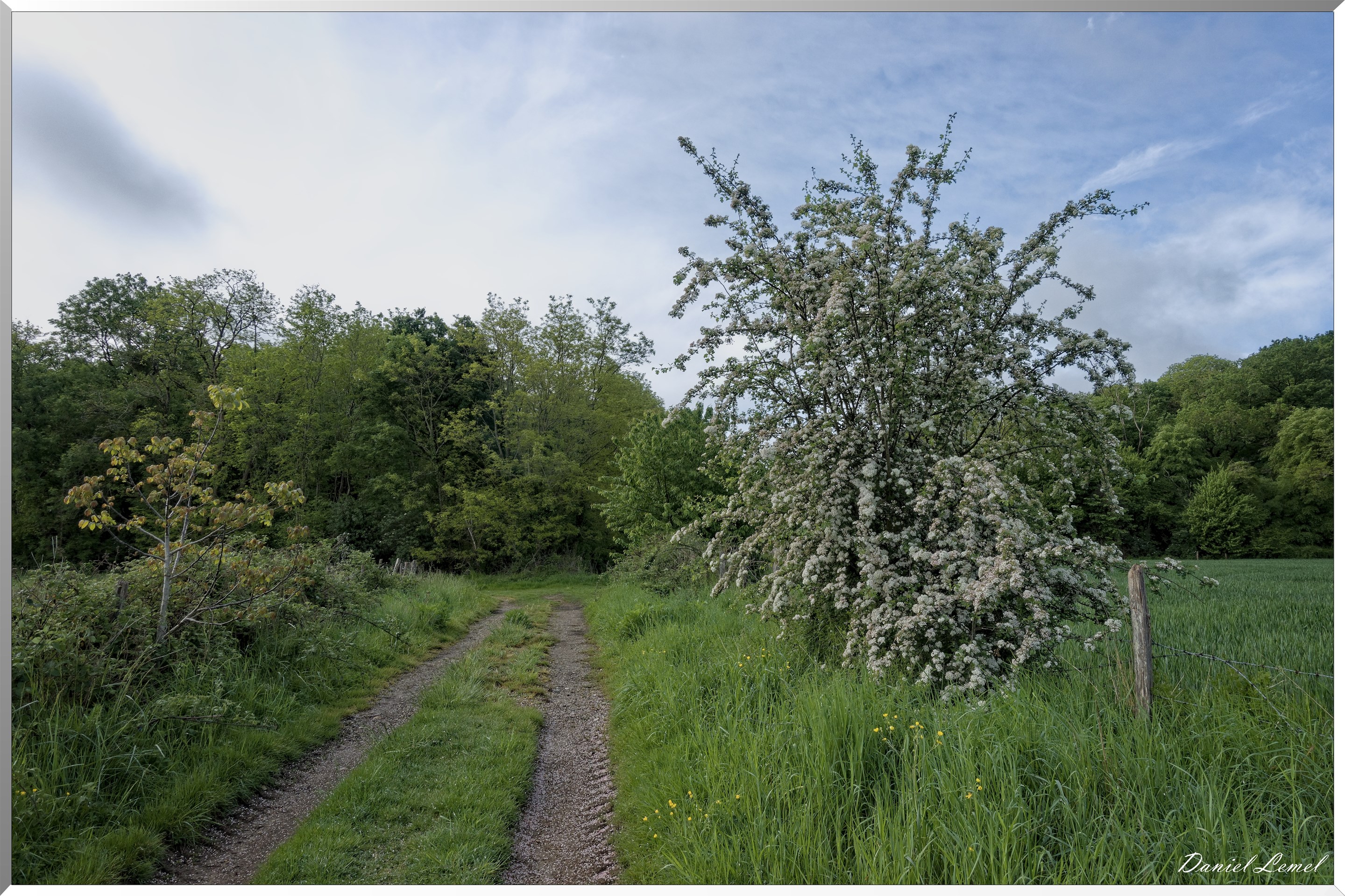 Saint-Pierre-de-Bailleul