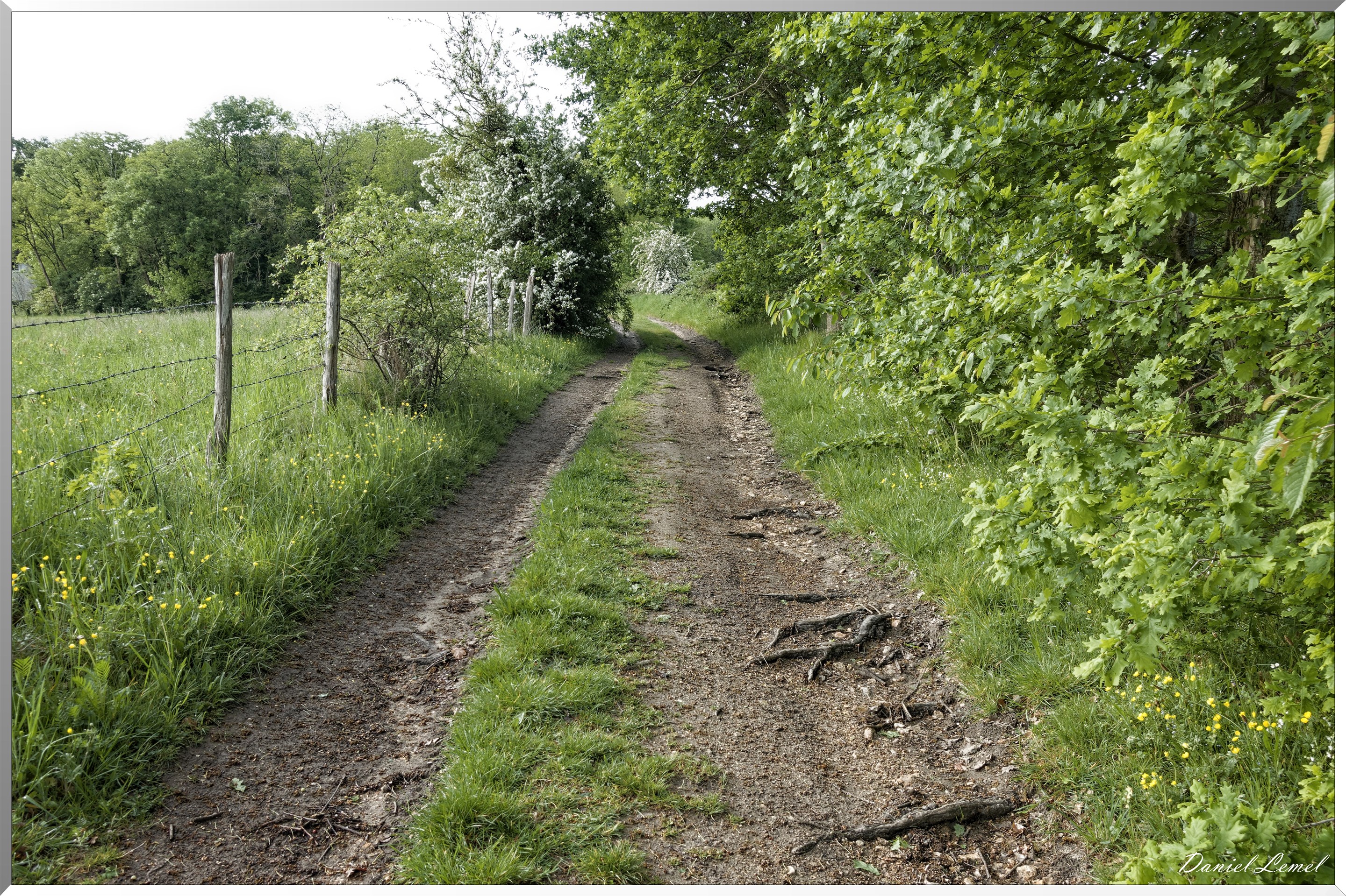 Saint-Pierre-de-Bailleul