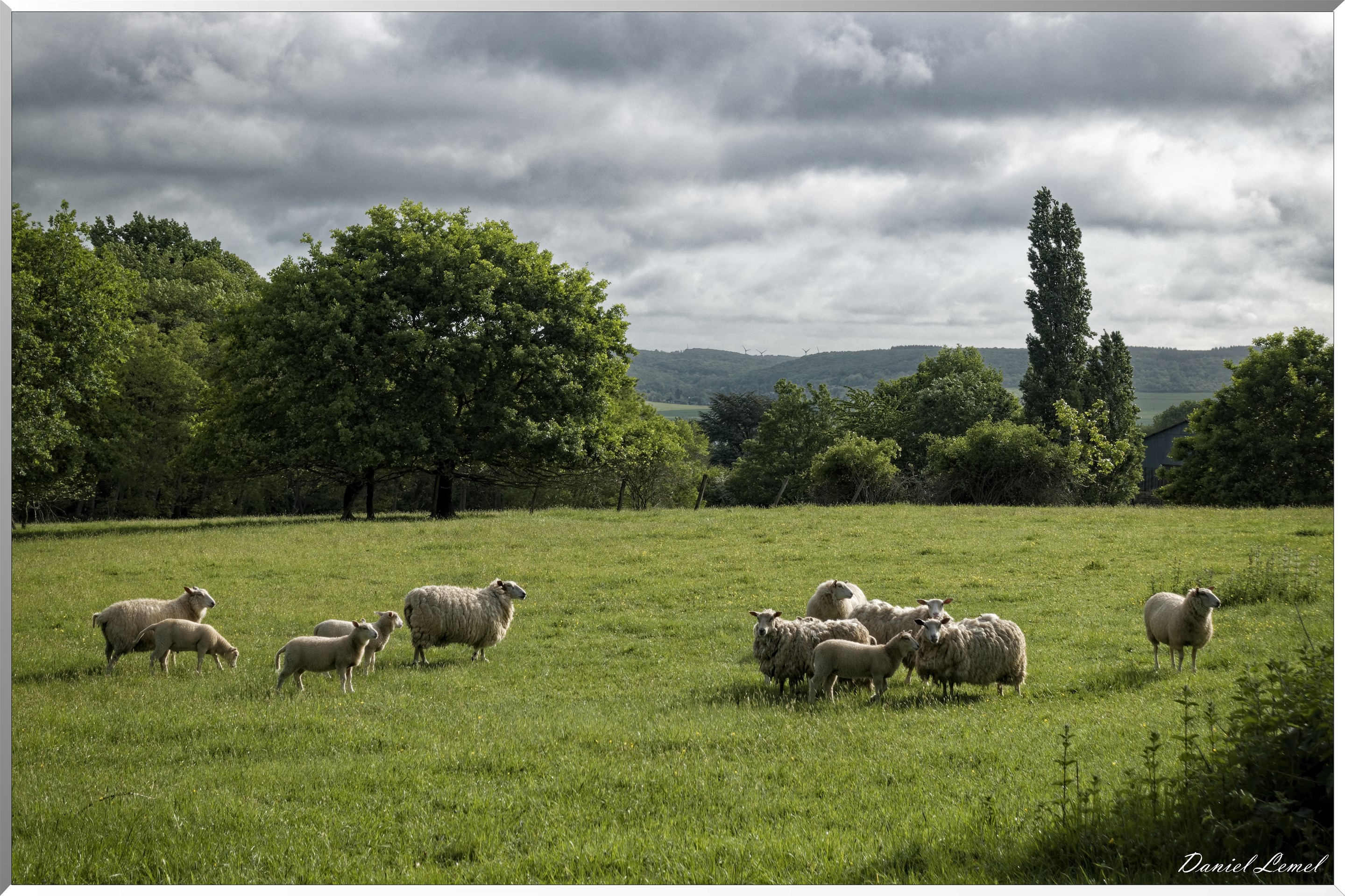 Saint-Pierre-de-Bailleul