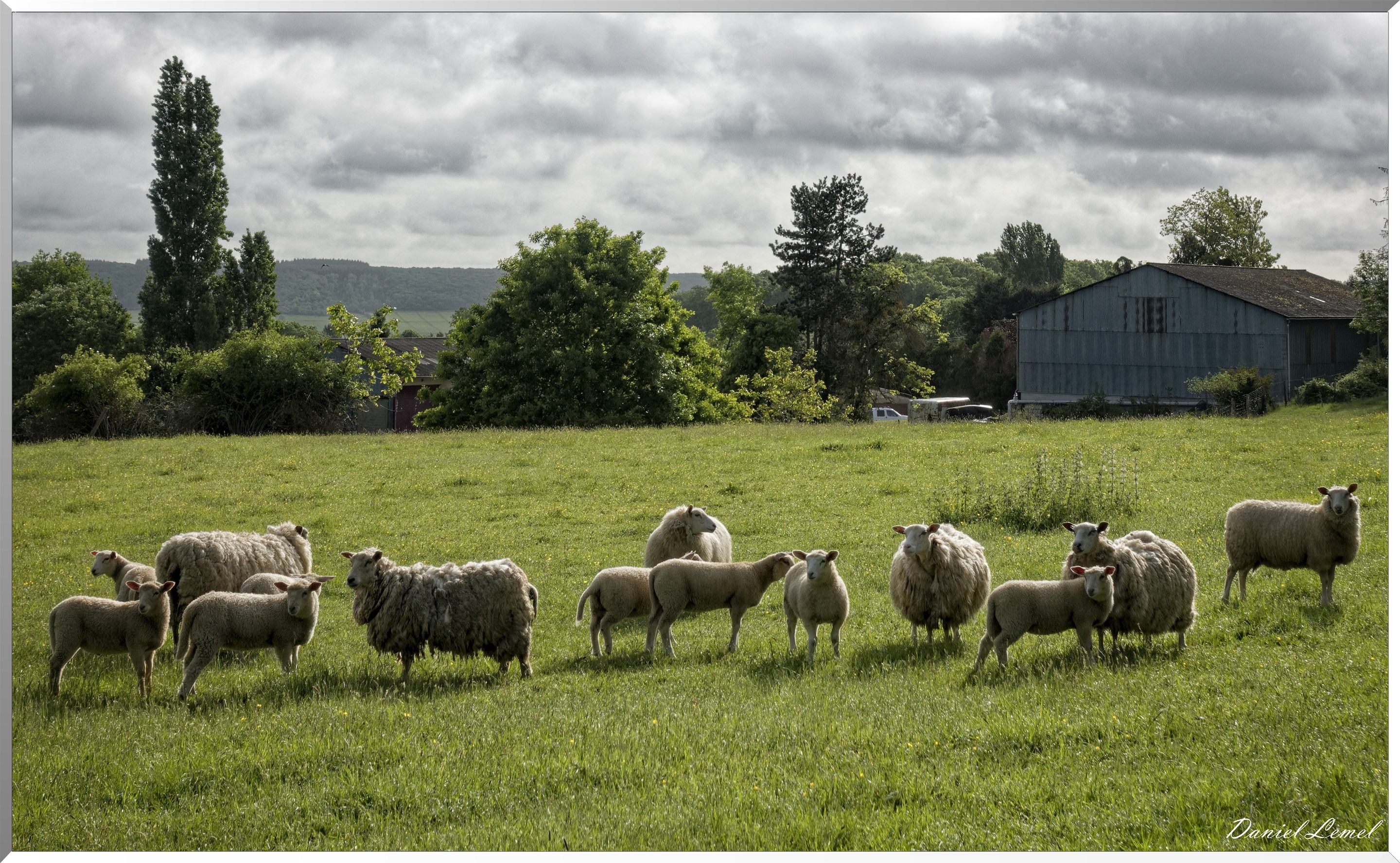 Saint-Pierre-de-Bailleul