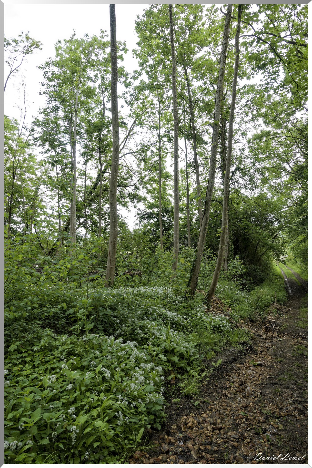 Saint-Pierre-de-Bailleul