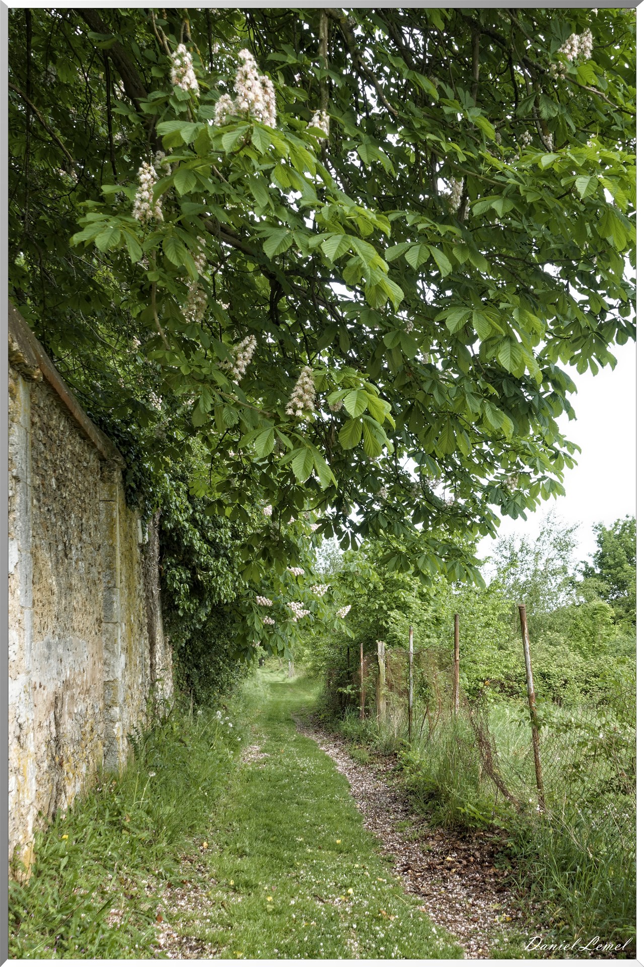 Saint-Pierre-de-Bailleul