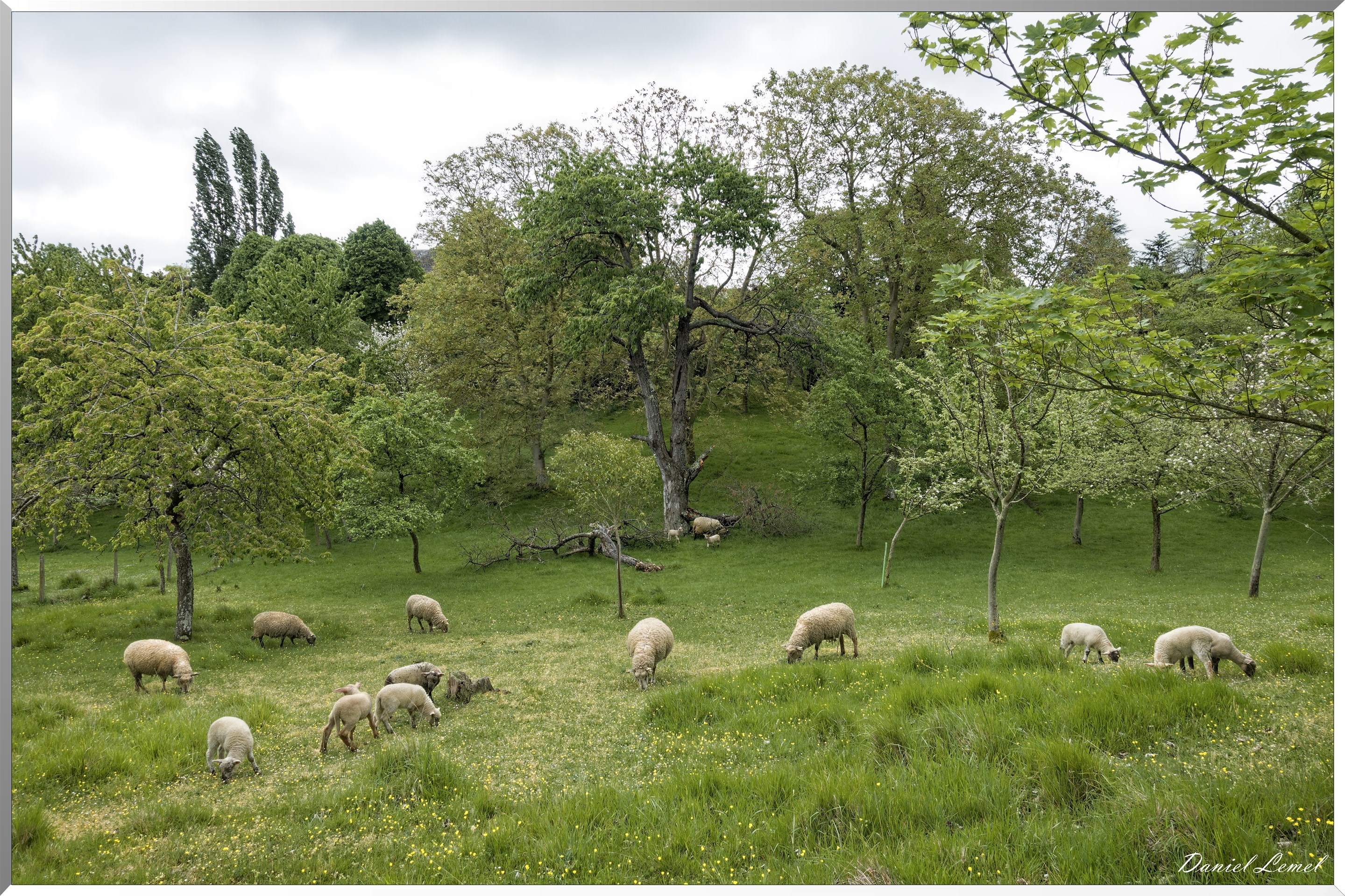 Saint-Pierre-de-Bailleul