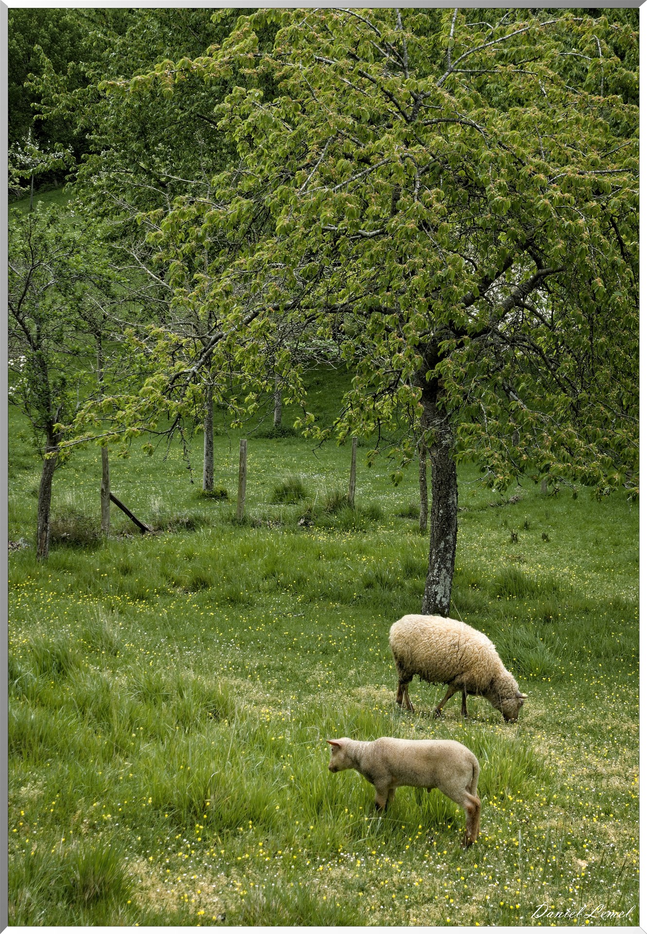 Saint-Pierre-de-Bailleul