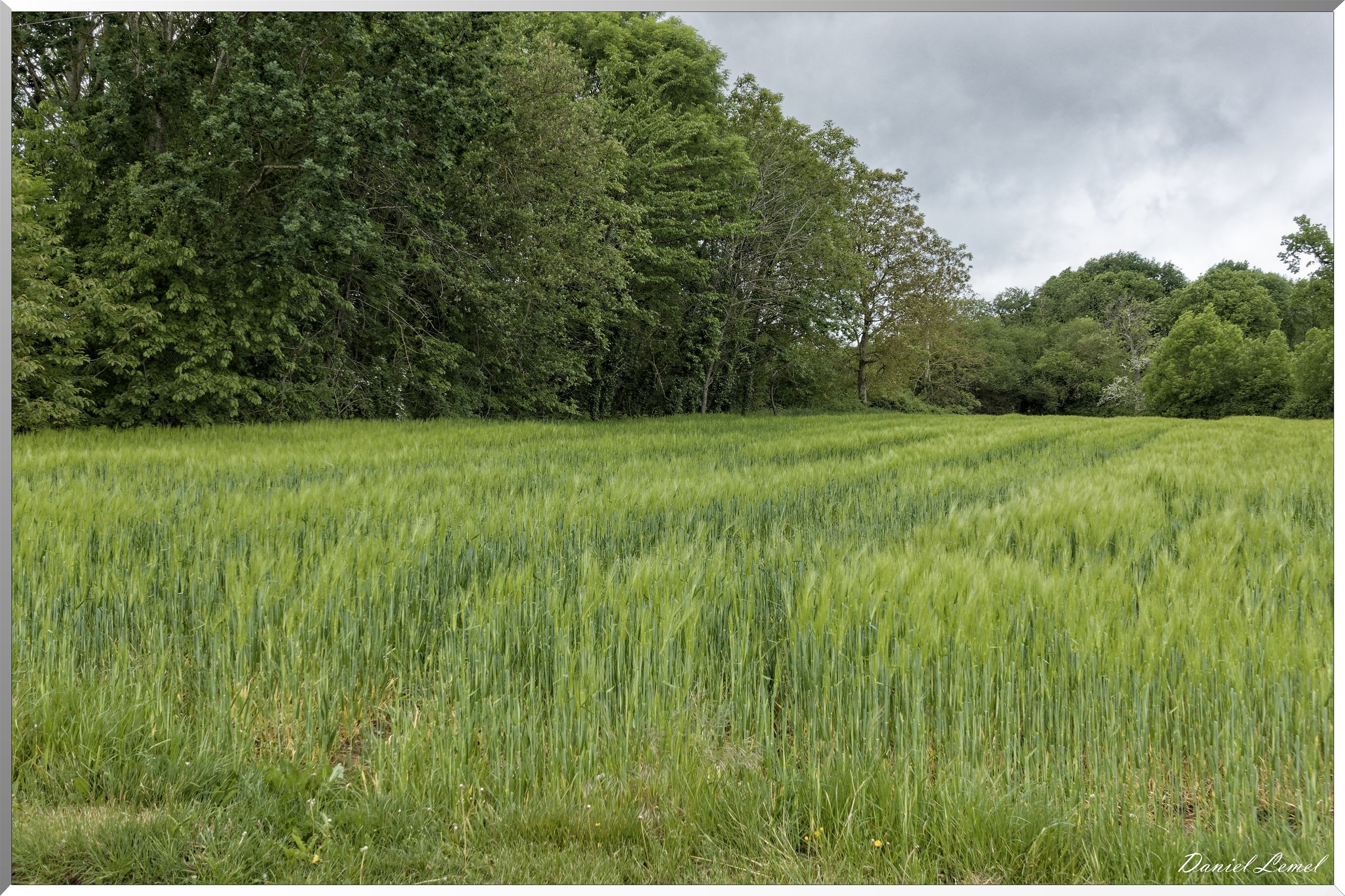 Saint-Pierre-de-Bailleul