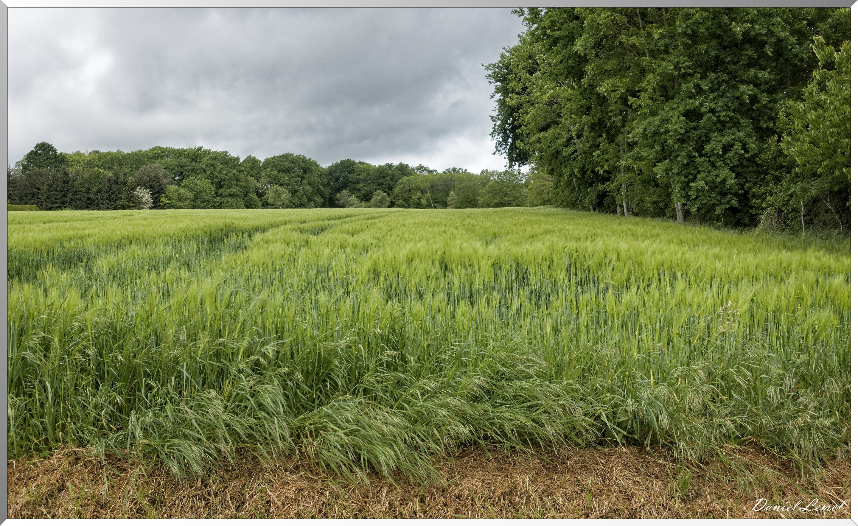 Saint-Pierre-de-Bailleul