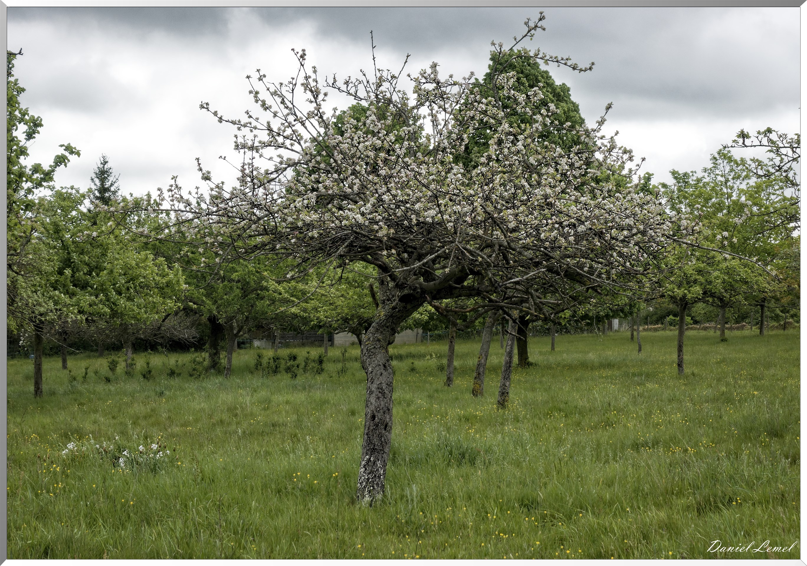 Saint-Pierre-de-Bailleul