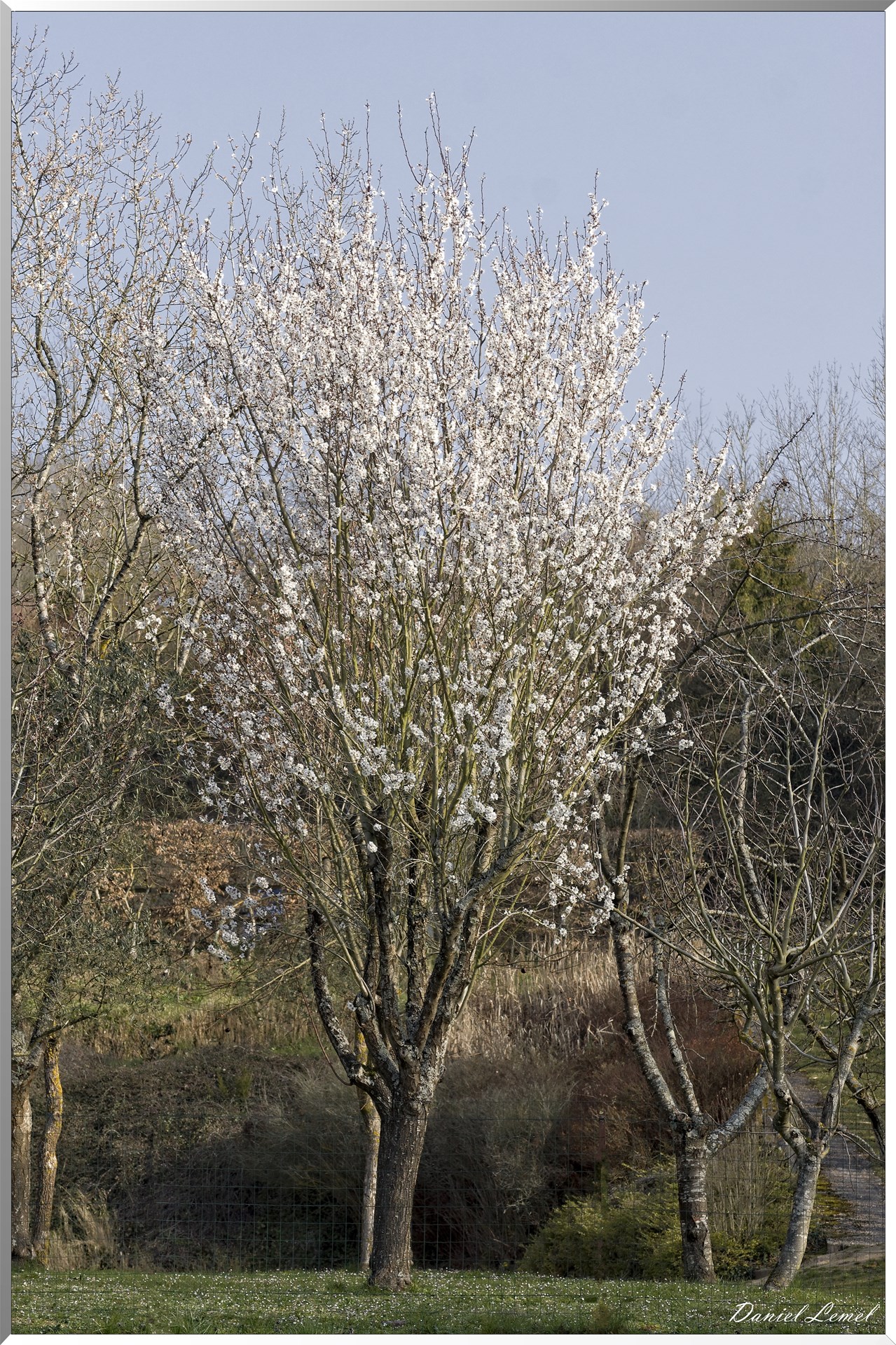 Giverny