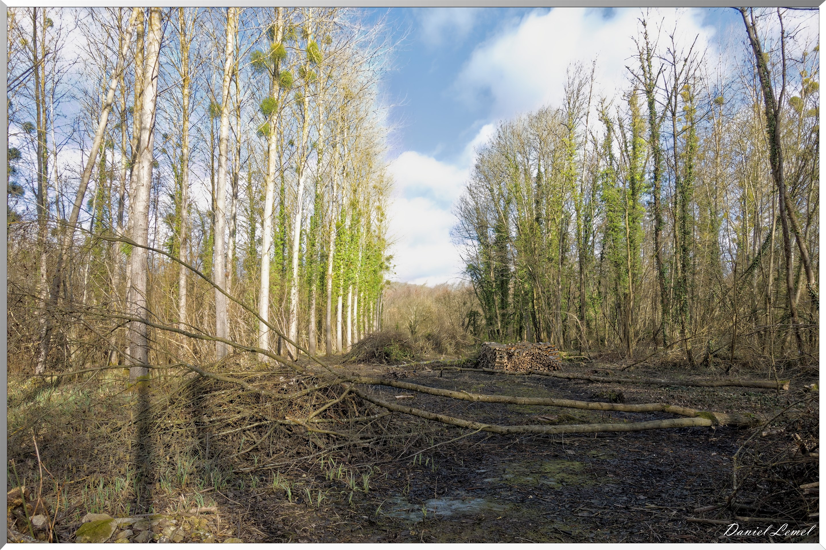 Saint-Geneviève-les-Gasny