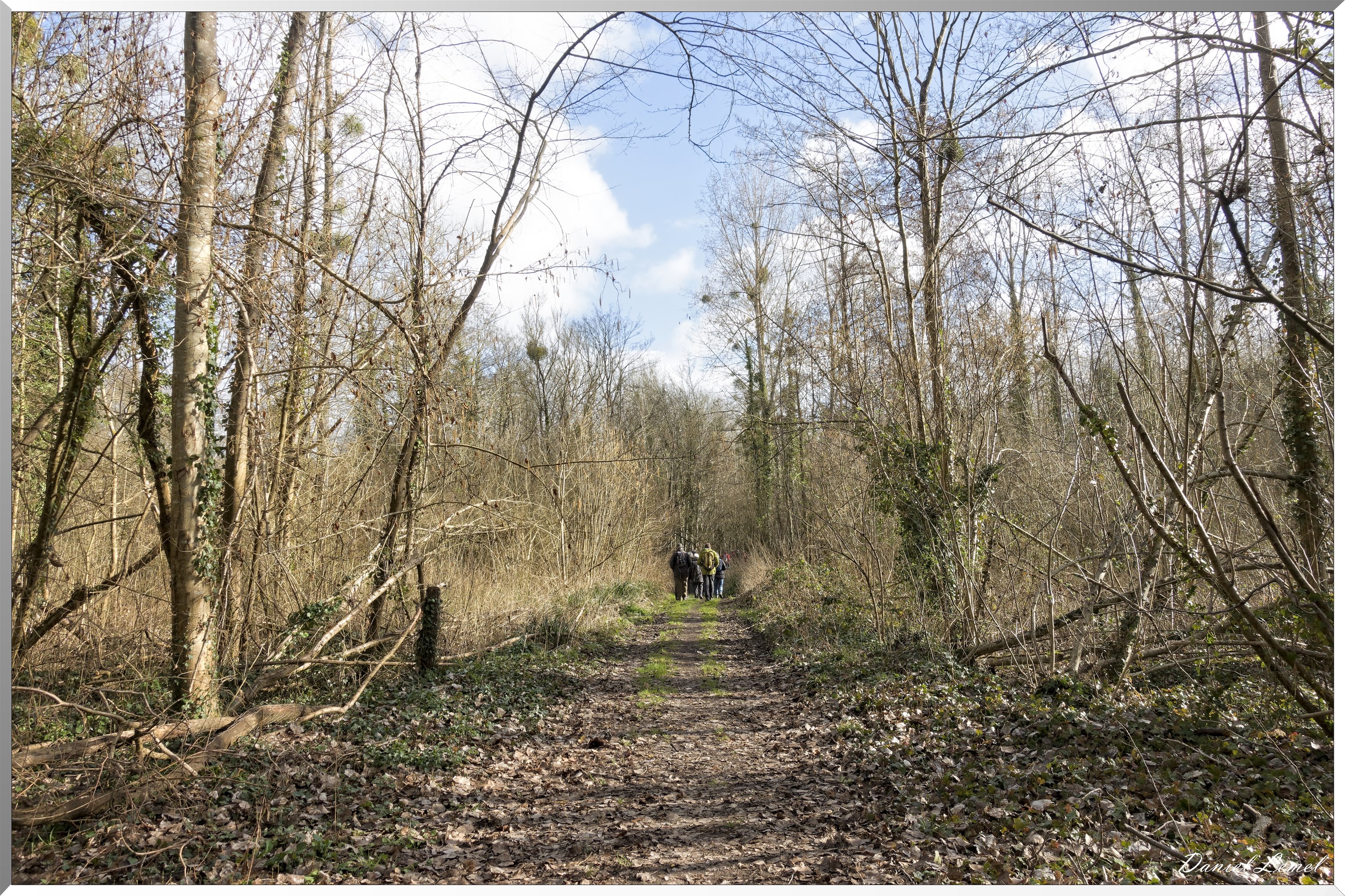 Saint-Geneviève-les-Gasny