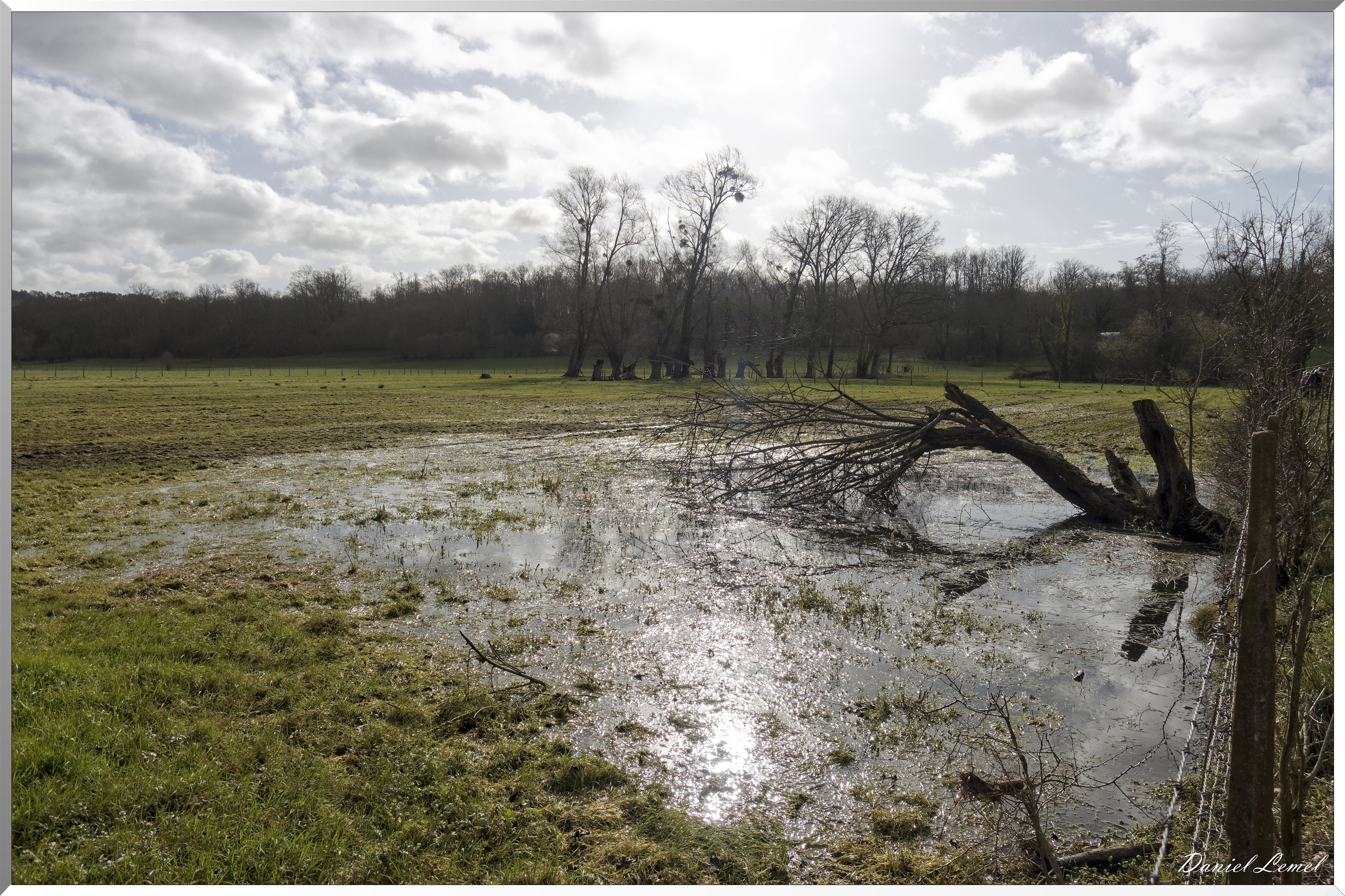 Saint-Geneviève-les-Gasny