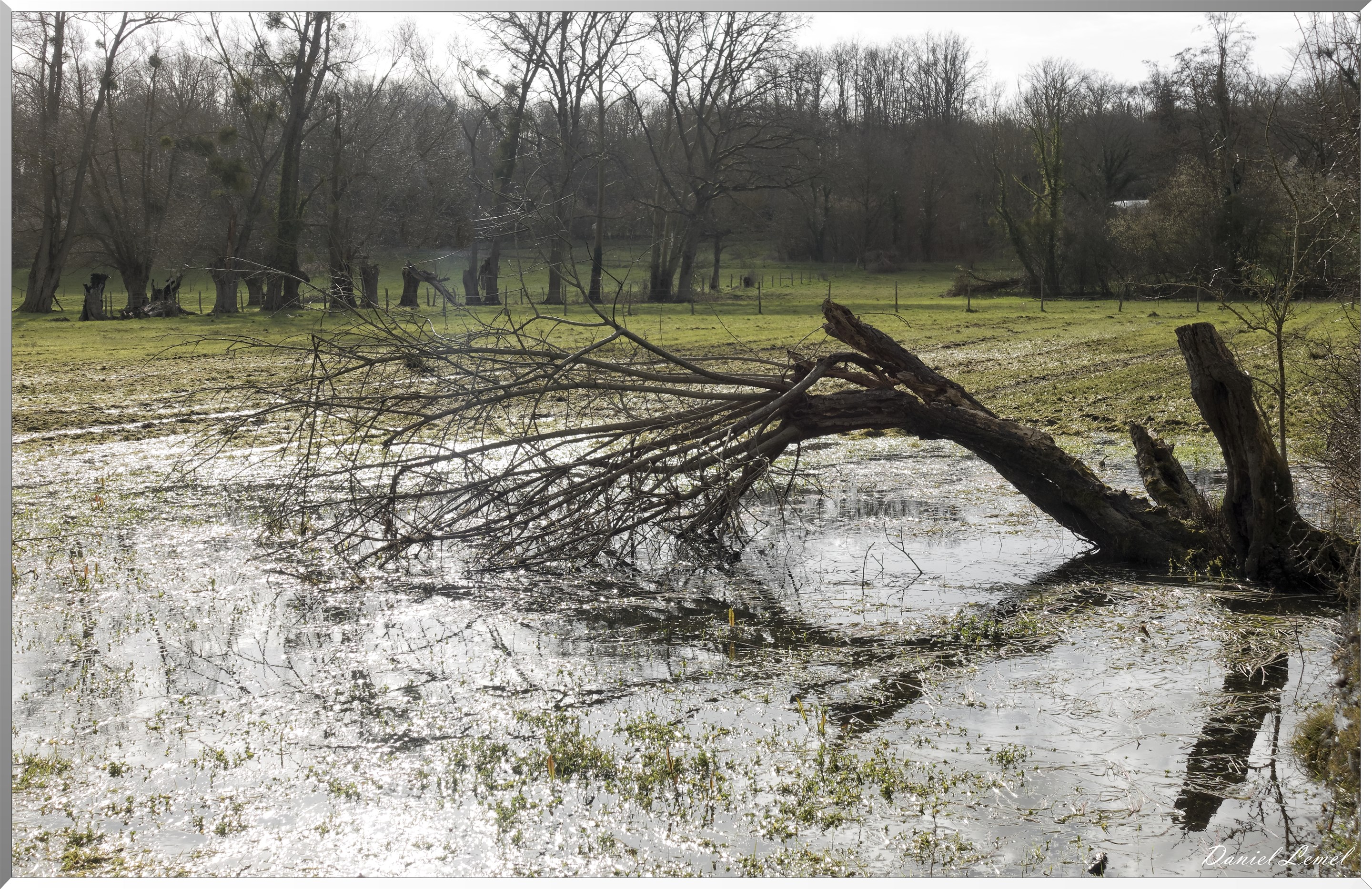 Saint-Geneviève-les-Gasny
