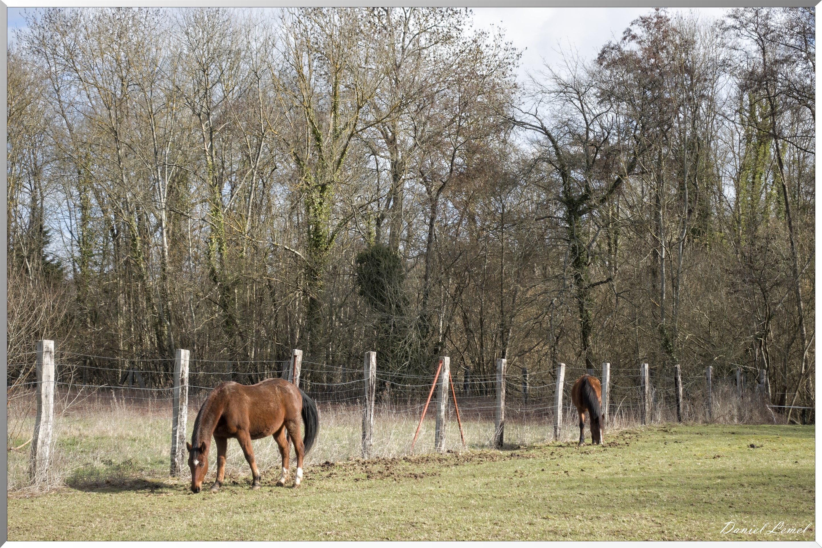 Saint-Geneviève-les-Gasny