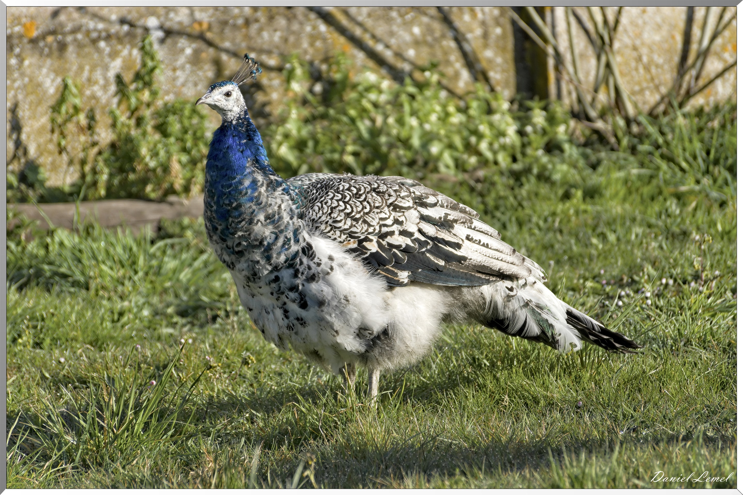 Bois-Jérôme-Saint-Ouen