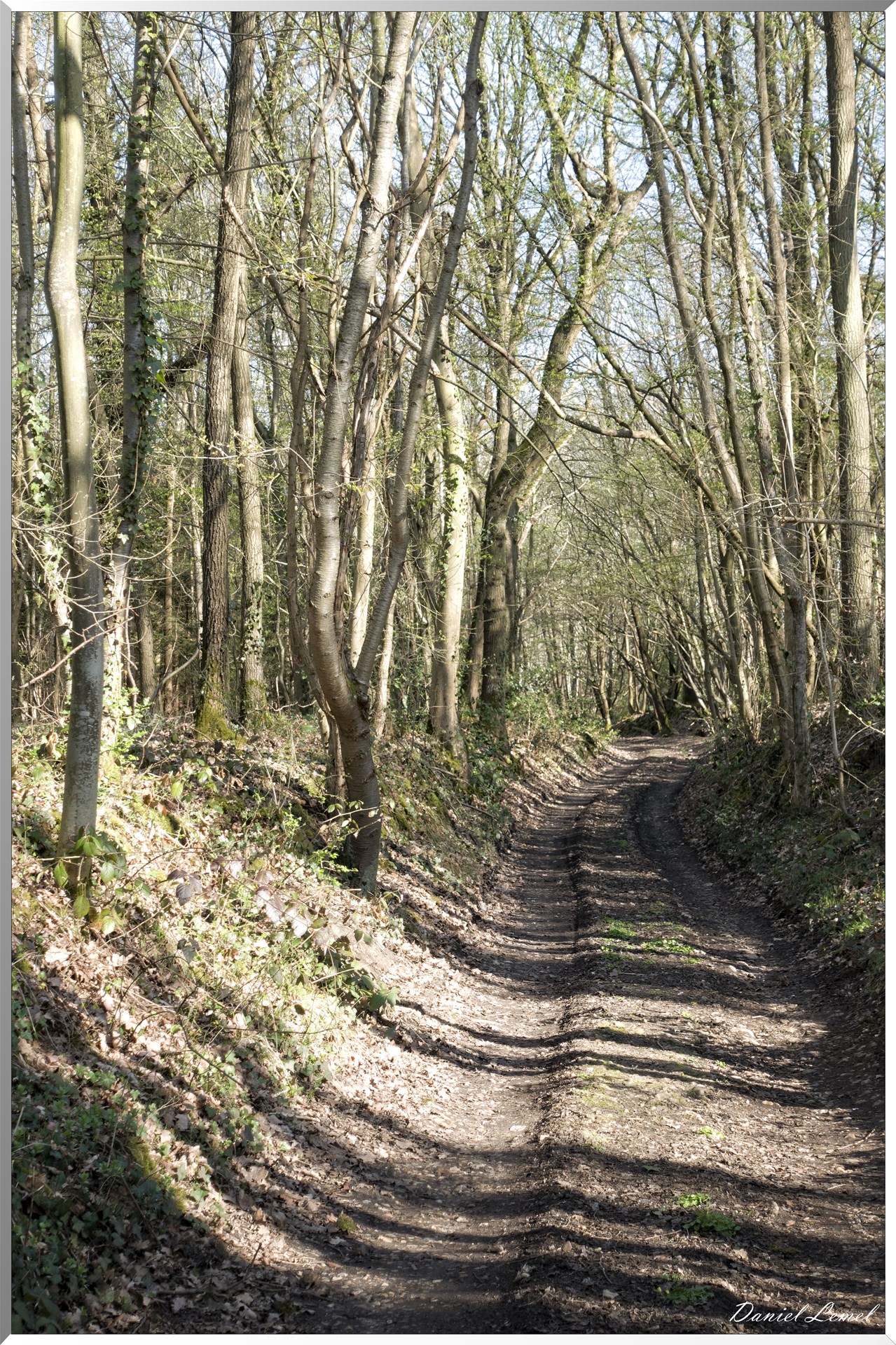Bois-Jérôme-Saint-Ouen