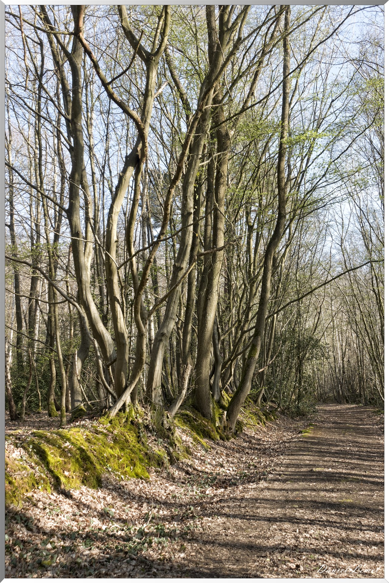 Bois-Jérôme-Saint-Ouen