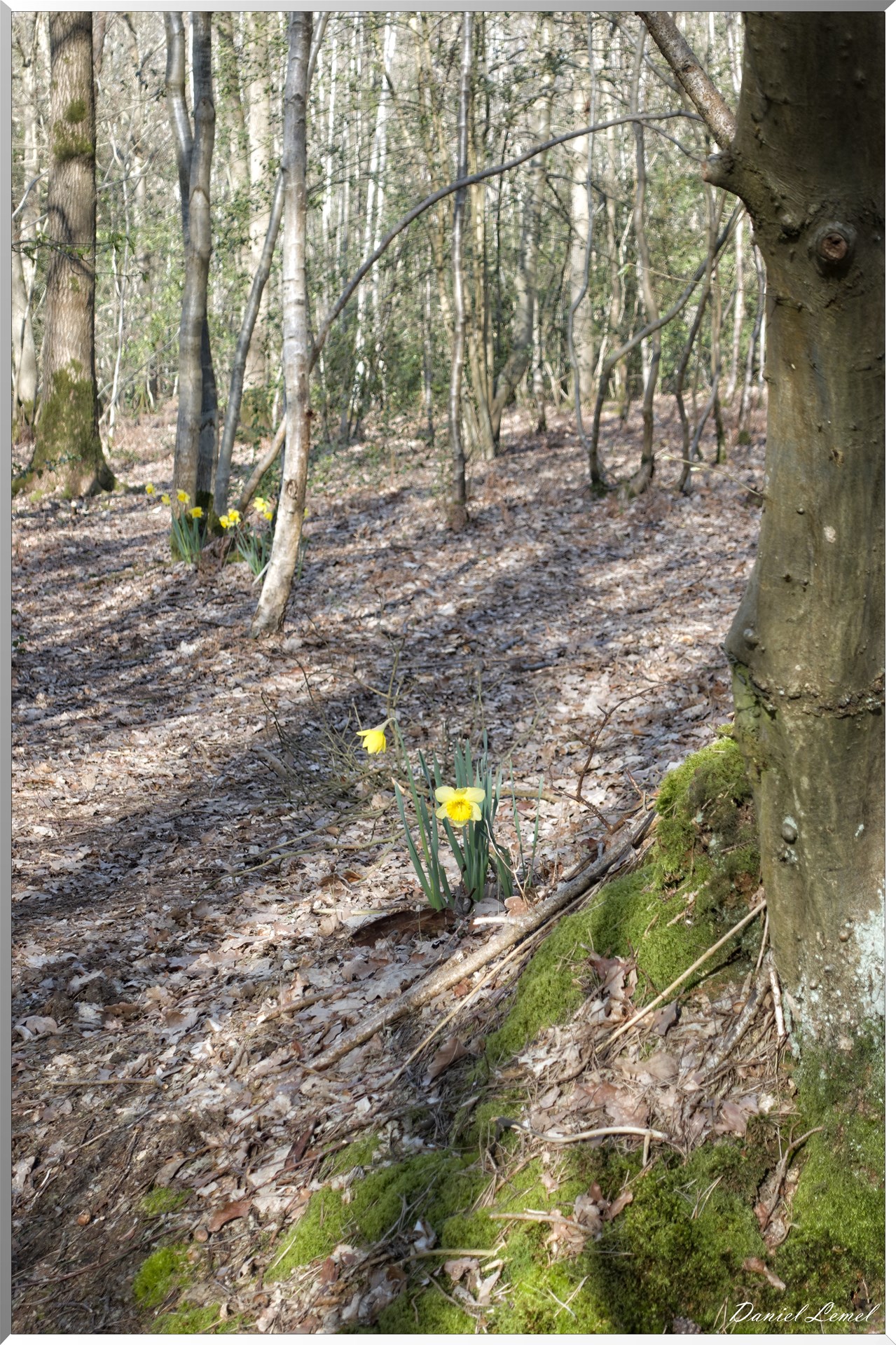 Bois-Jérôme-Saint-Ouen
