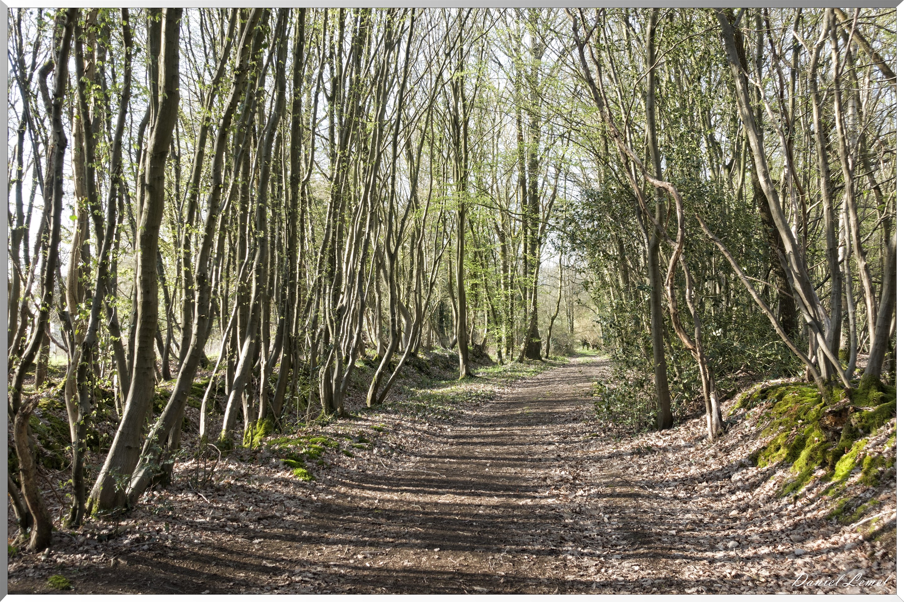 Bois-Jérôme-Saint-Ouen