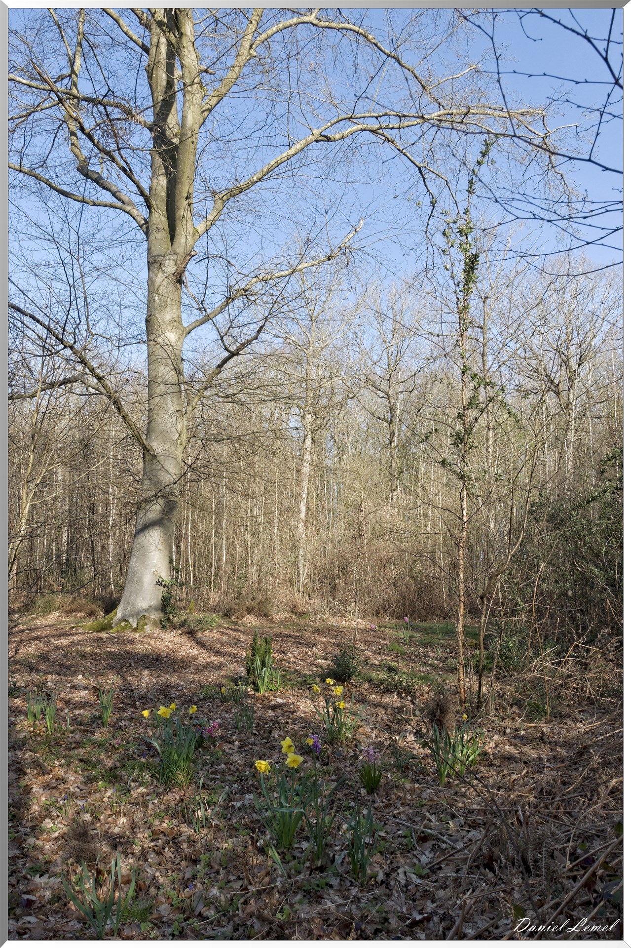 Bois-Jérôme-Saint-Ouen