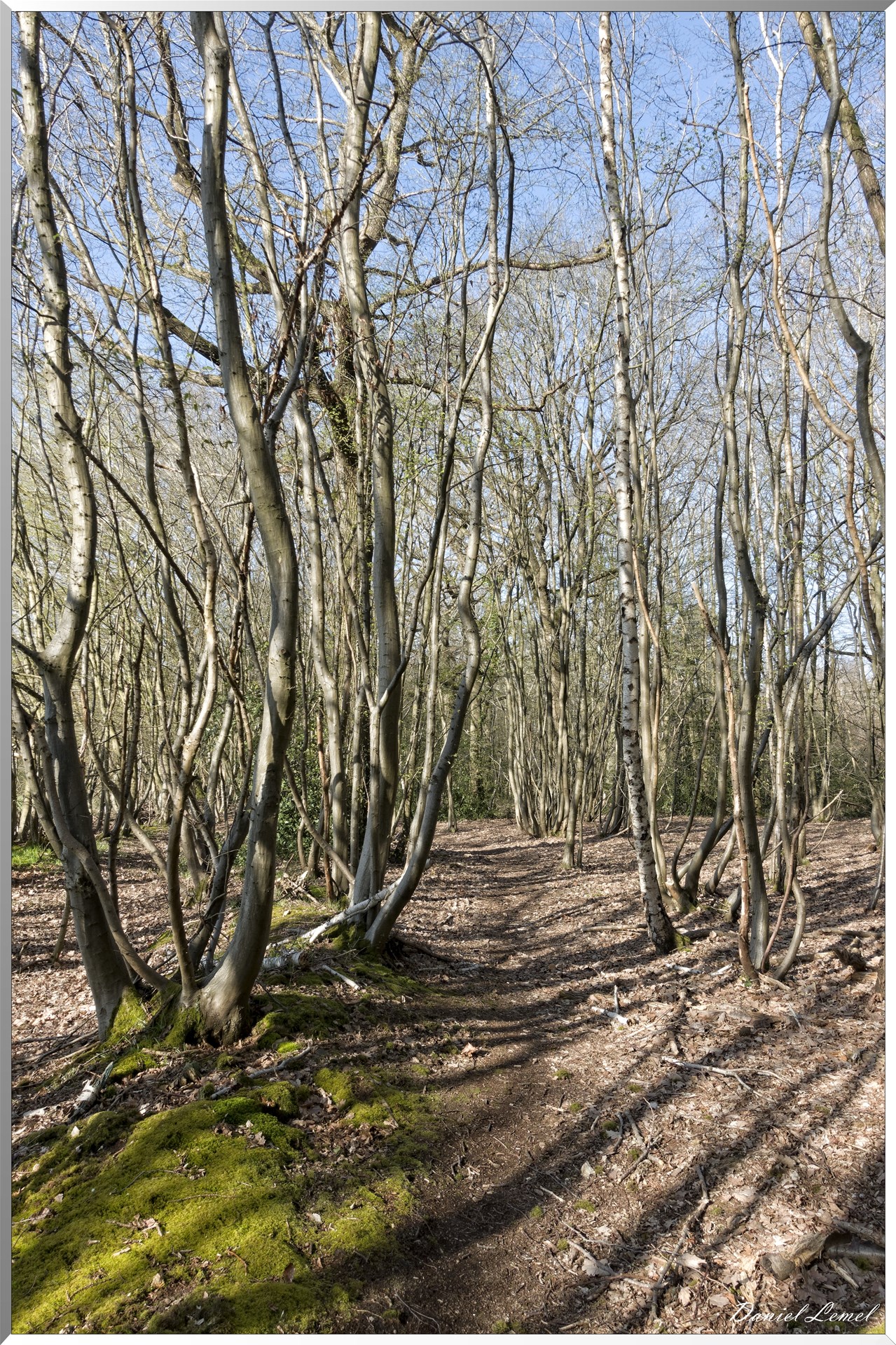 Bois-Jérôme-Saint-Ouen