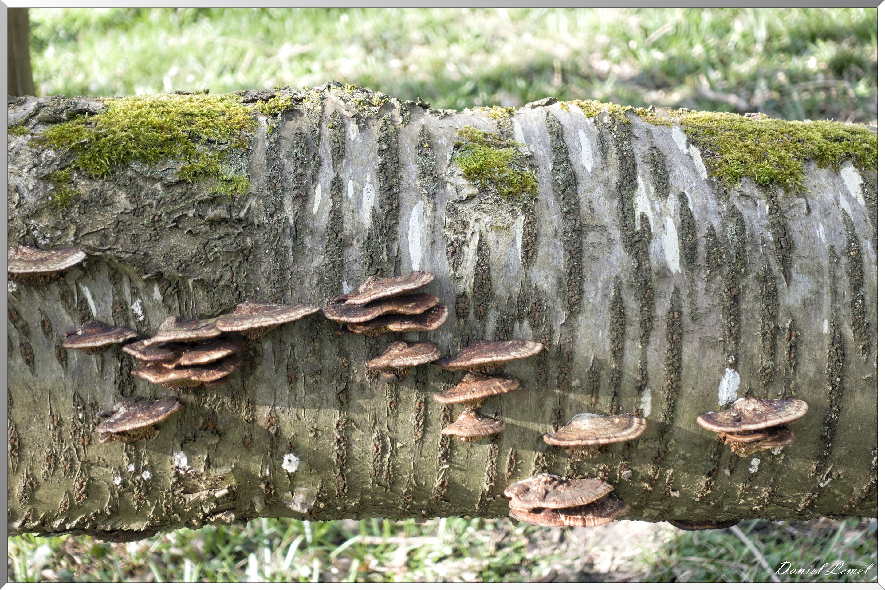 Bois-Jérôme-Saint-Ouen