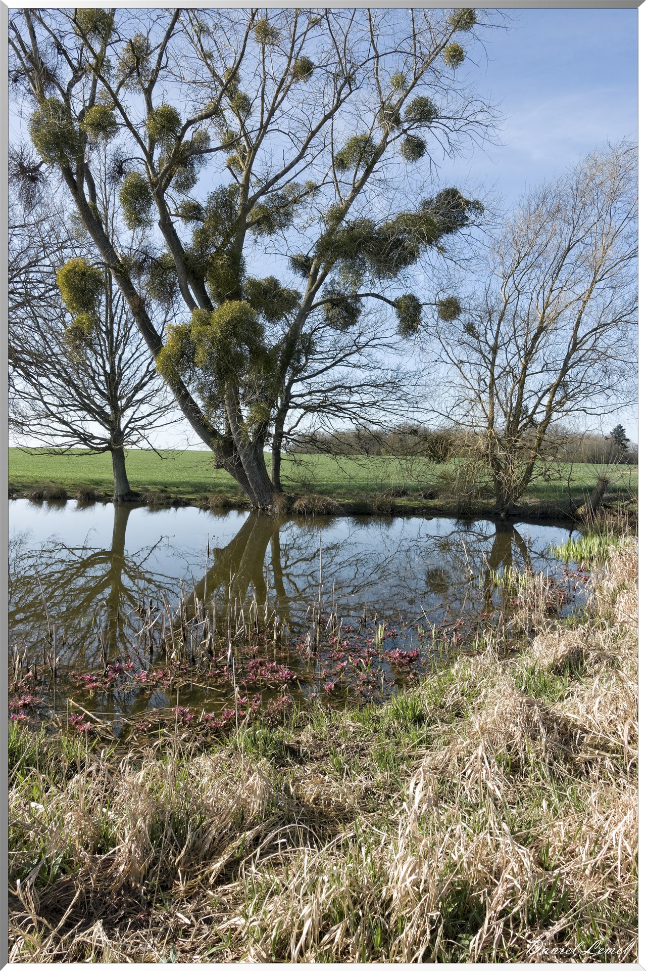 Bois-Jérôme-Saint-Ouen