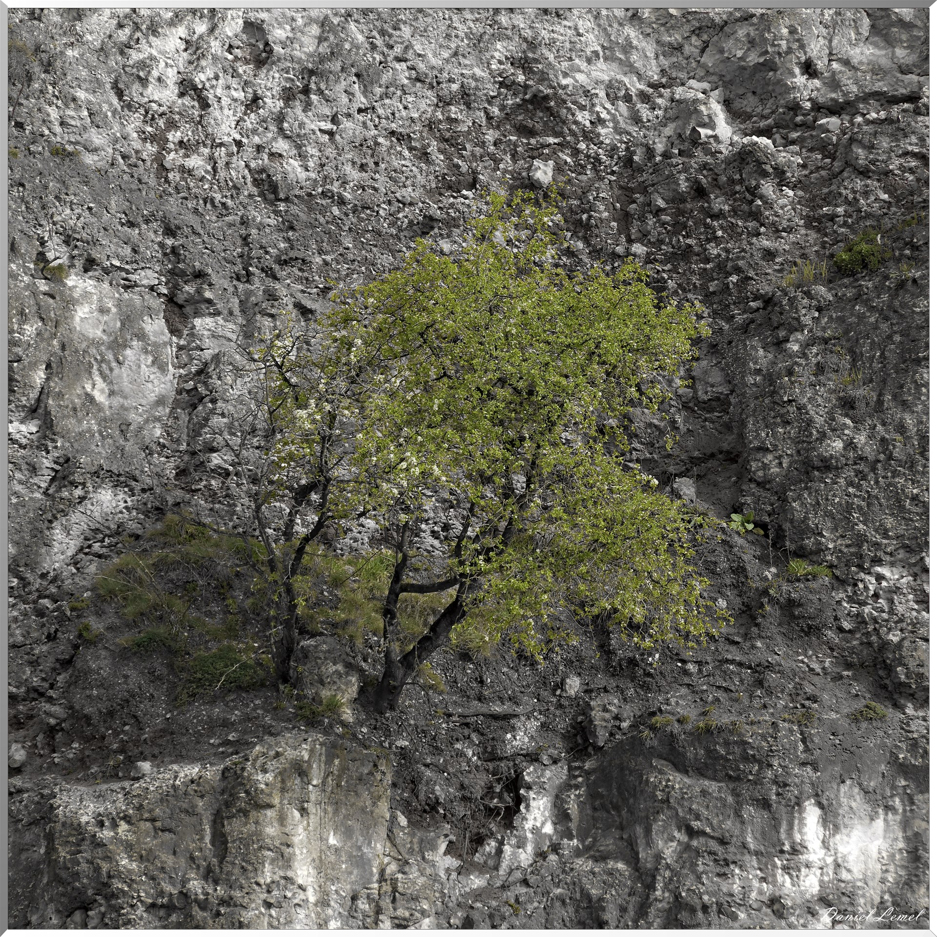 Vernon - Forêt du LRBA