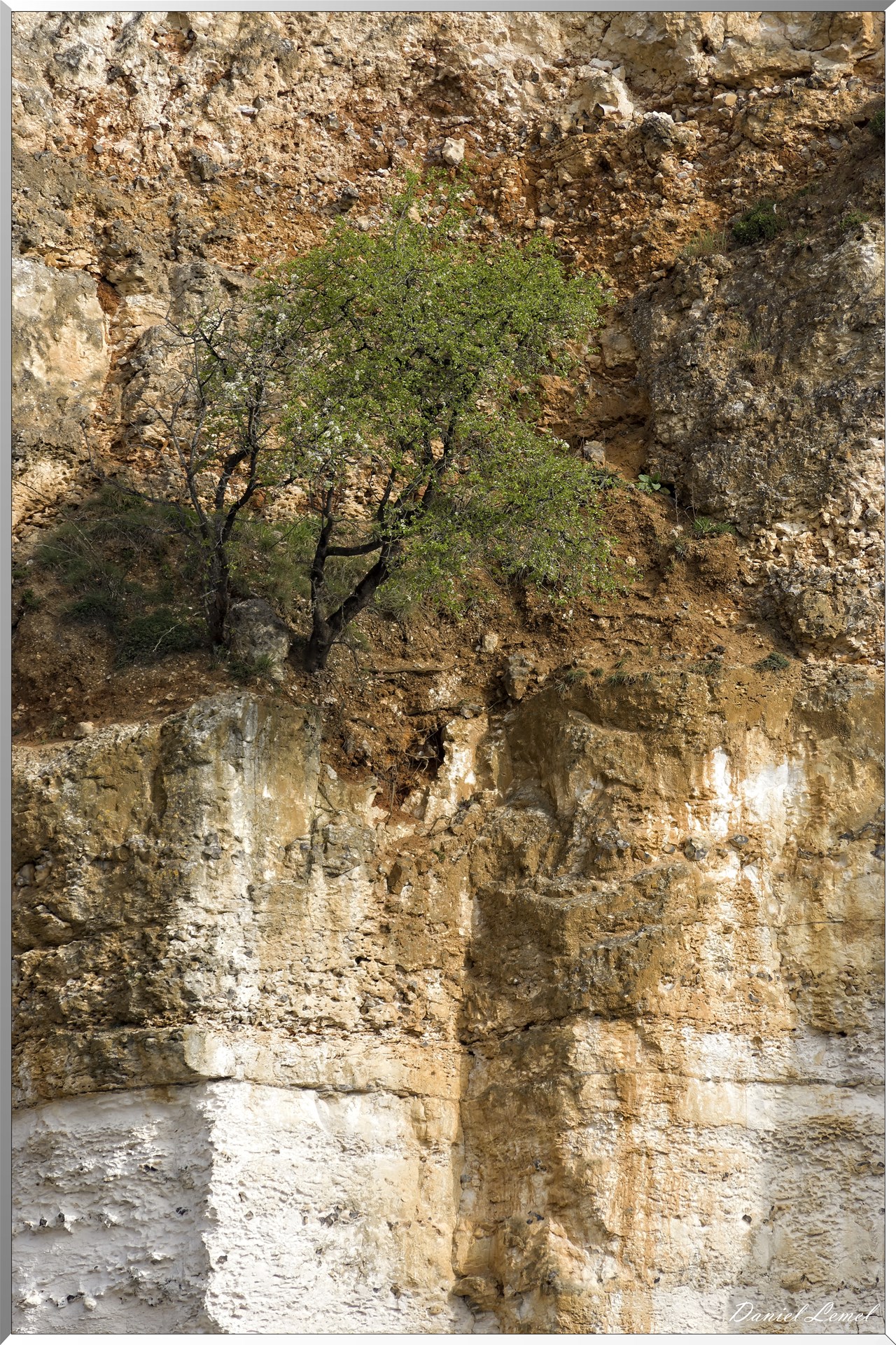 Vernon - Forêt du LRBA