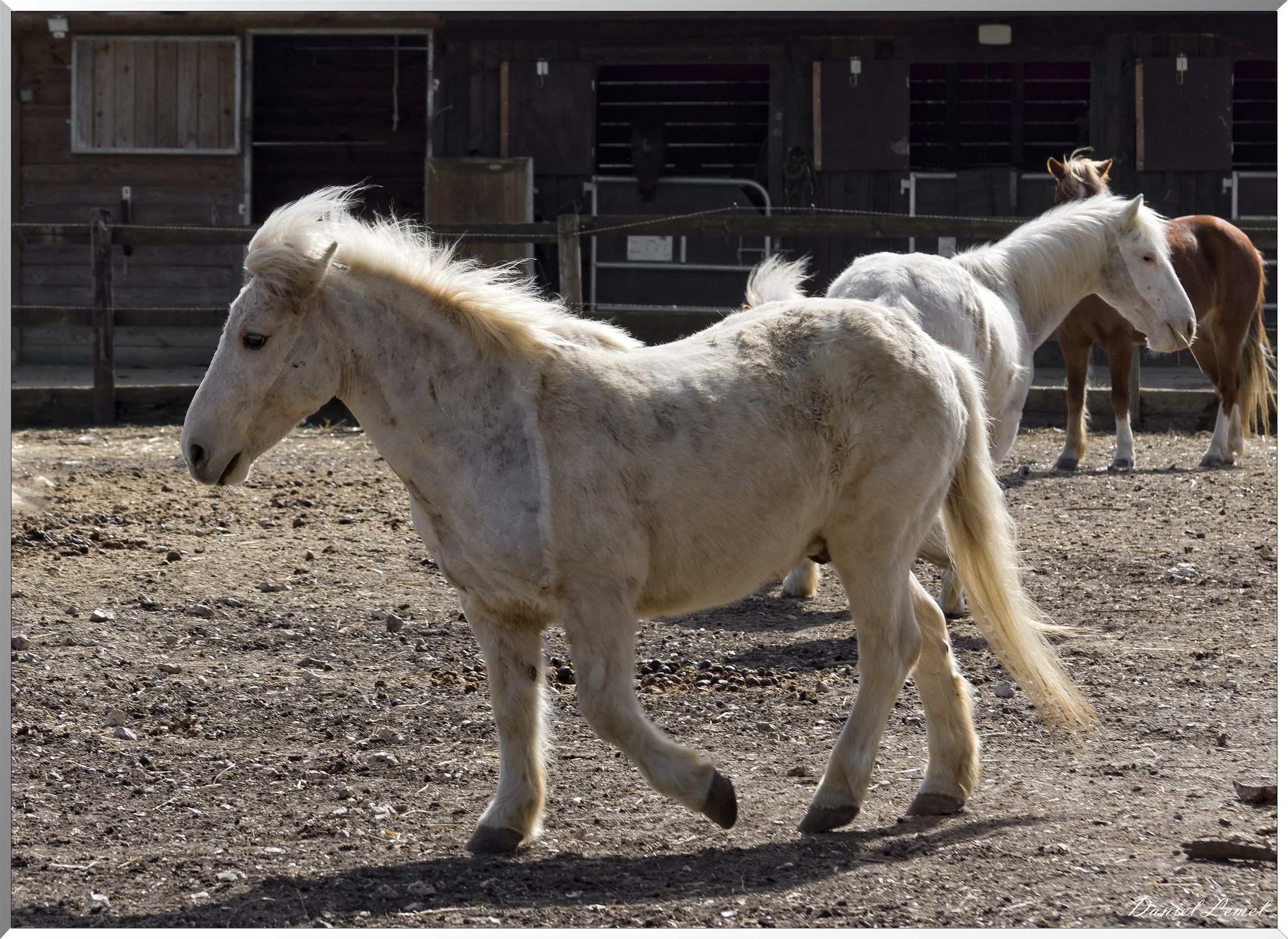 Vernon - Forêt du LRBA