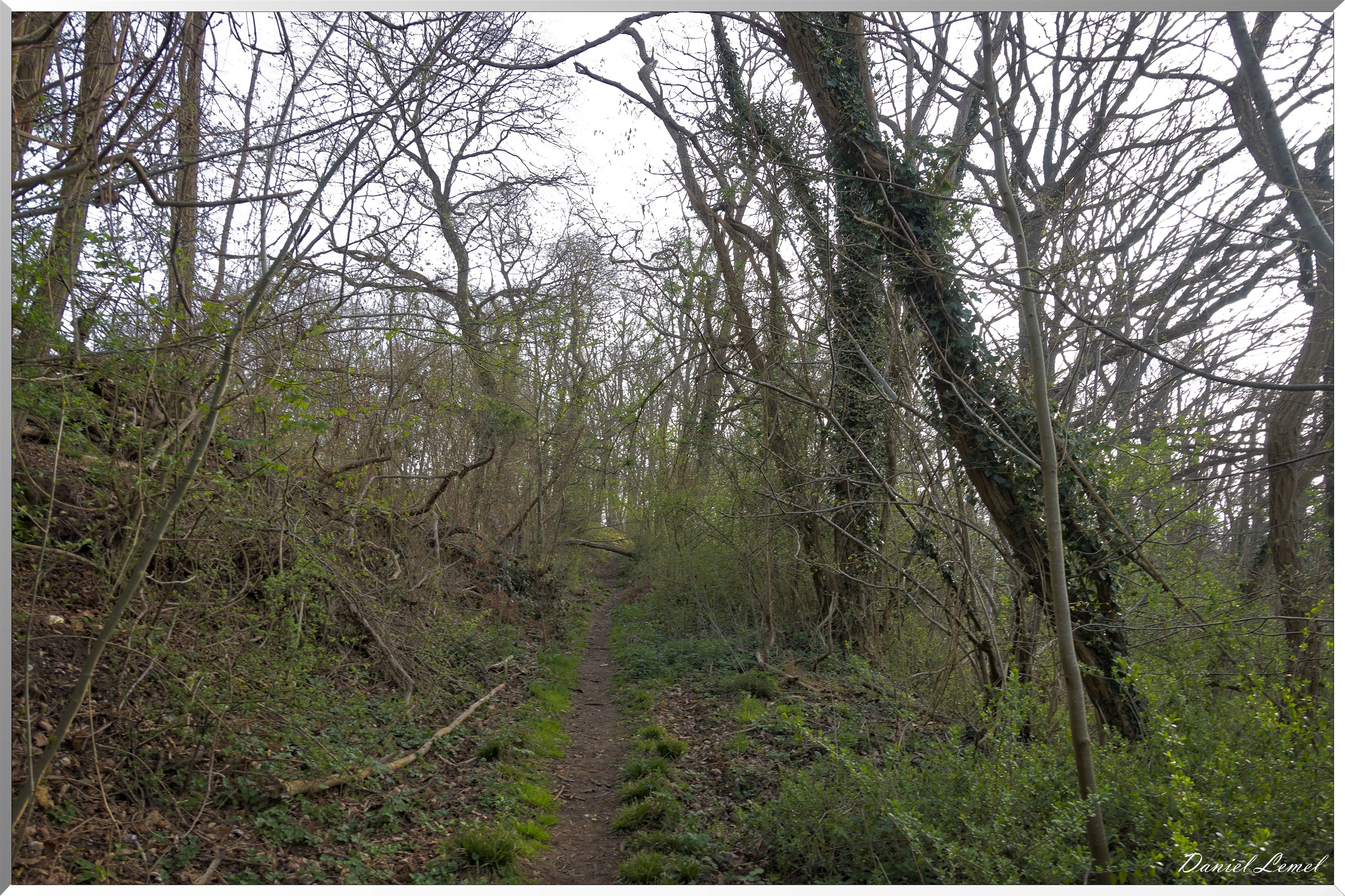 Vernon - Forêt du LRBA