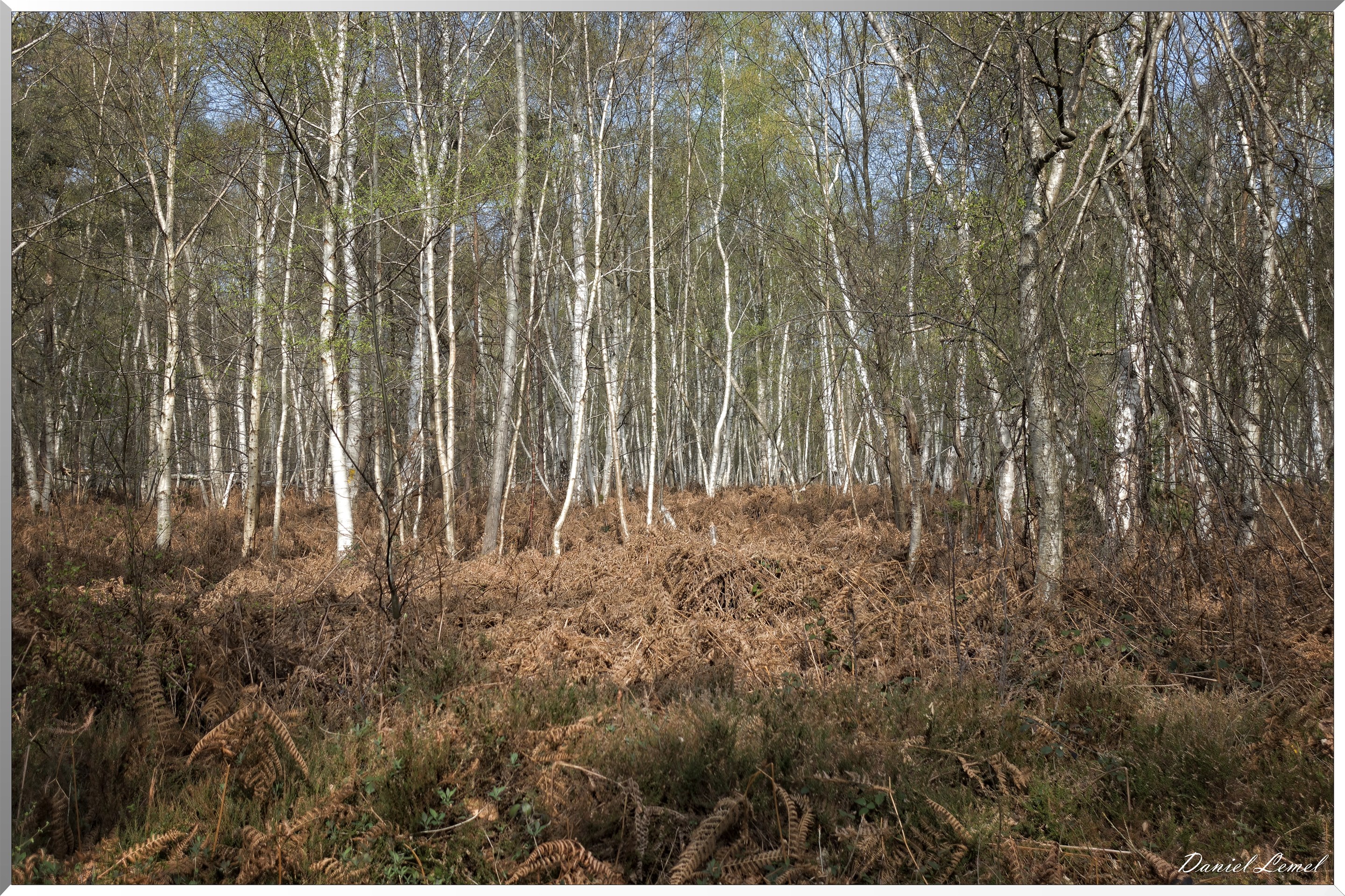 Vernon - Forêt du LRBA
